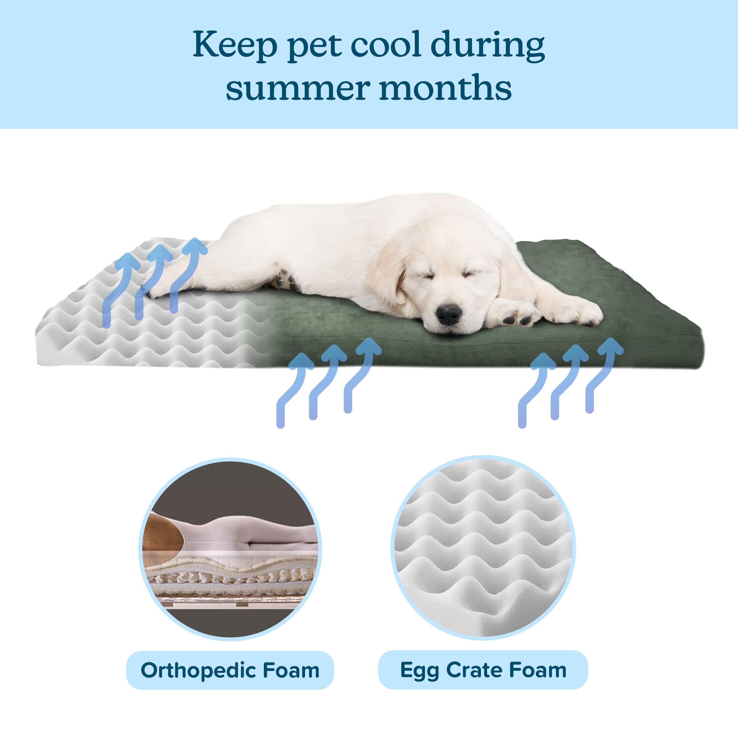 Dog Bed with Removable Cover - 25.5x19 Orthopedic Pet Bed with 3-Inch Egg Crate Style Padding and Microsuede - Small Crate Bed b