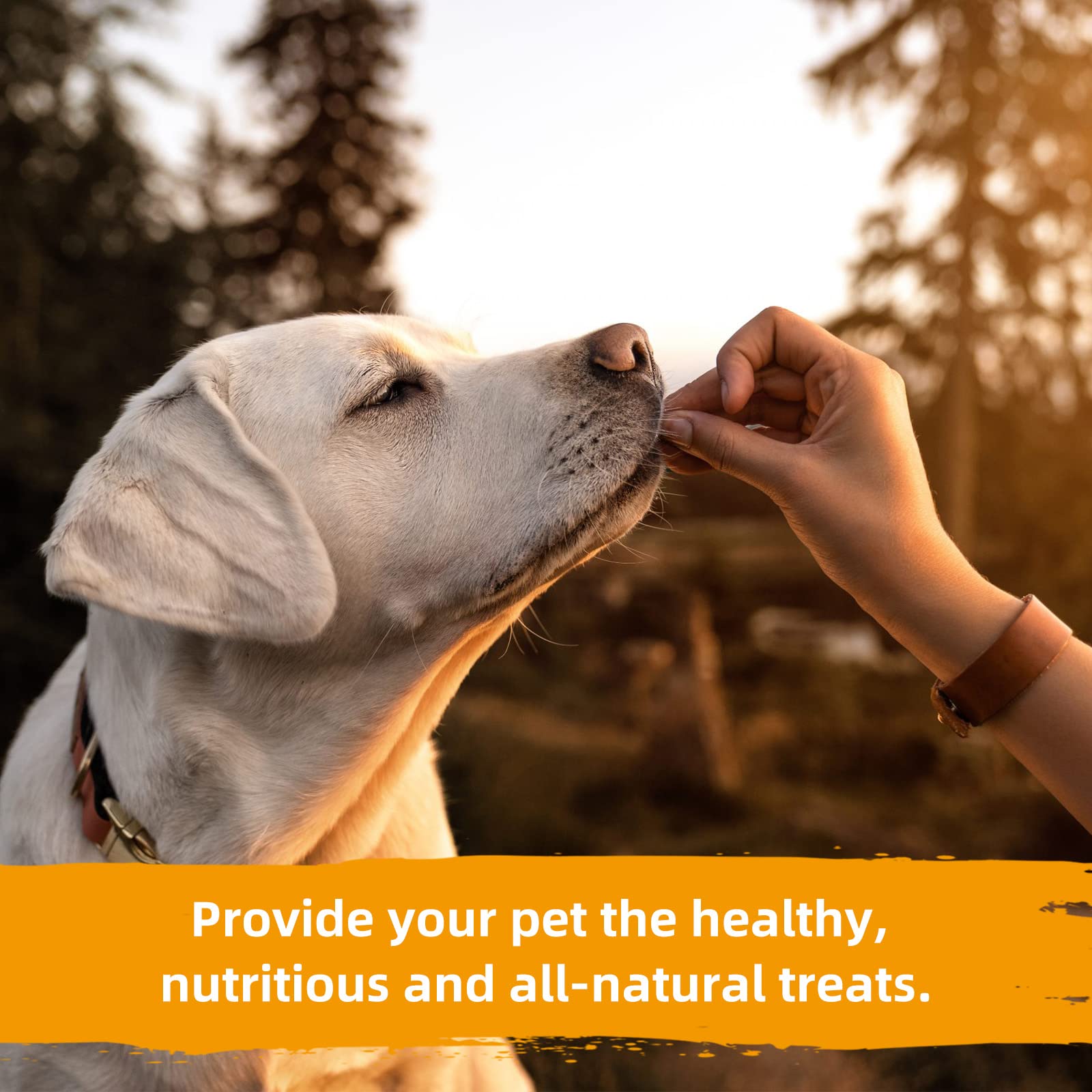 Jungle Calling Natural Sweet Potato Dog Treats, Low Fat Chews, 10.6 oz, Ideal Training Snacks for Dogs