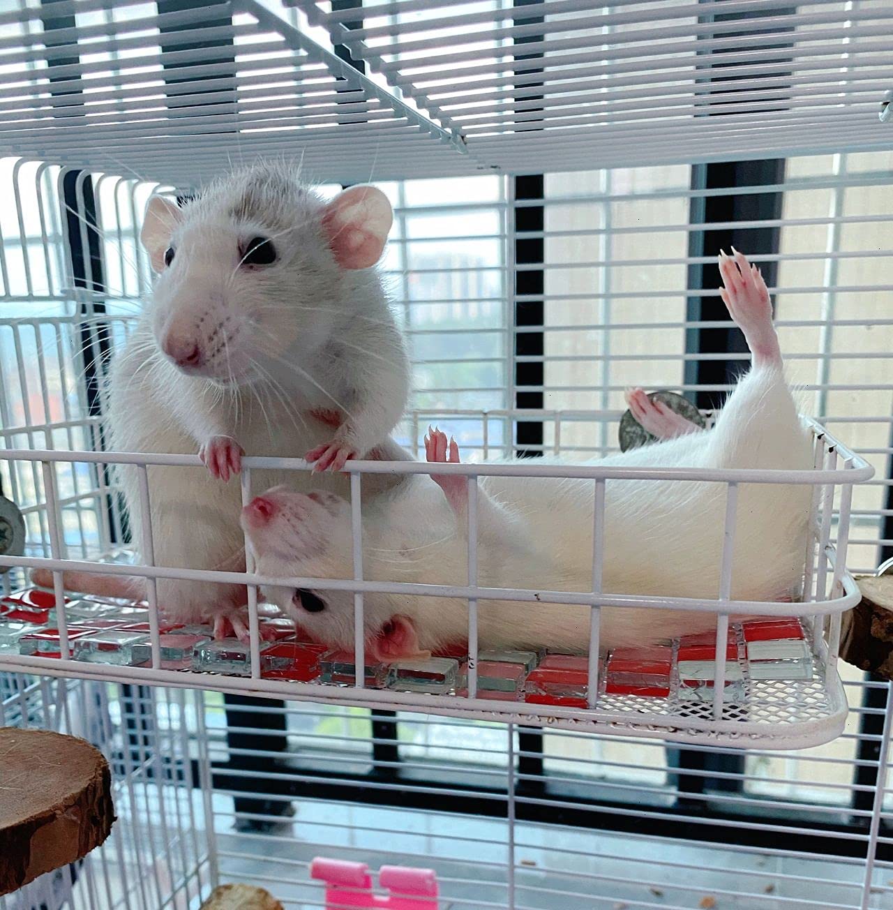 Woledoe Rat Cage Platform, All-Metal Basket Chew-Proof Design, Chinchilla Toys And Cage Accessories Ledge Ramp Fit Ferret, Guinea Pig, Sugar Glider