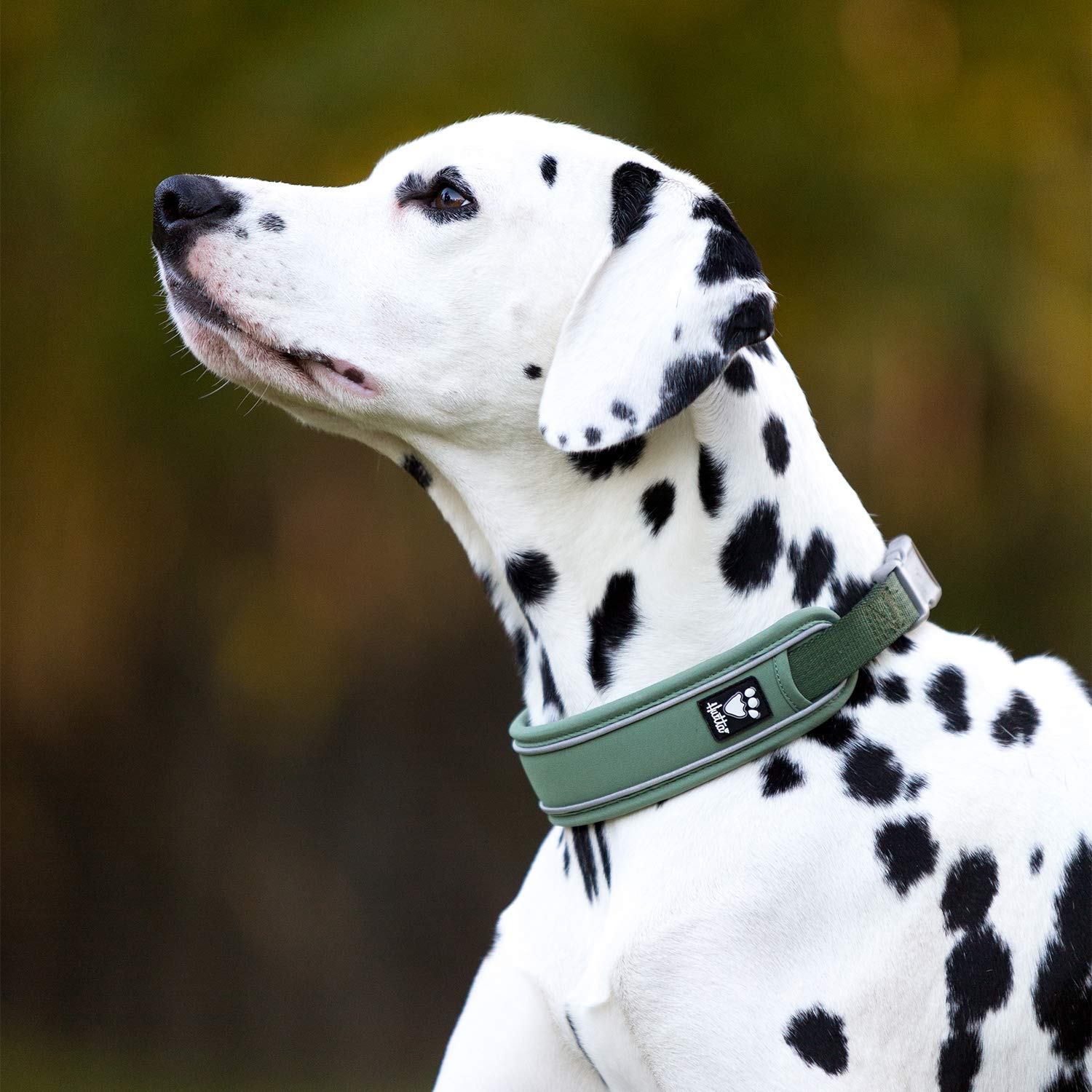 Hurtta Weekend Warrior Eco Dog Collar, Hedge, 22-26 In