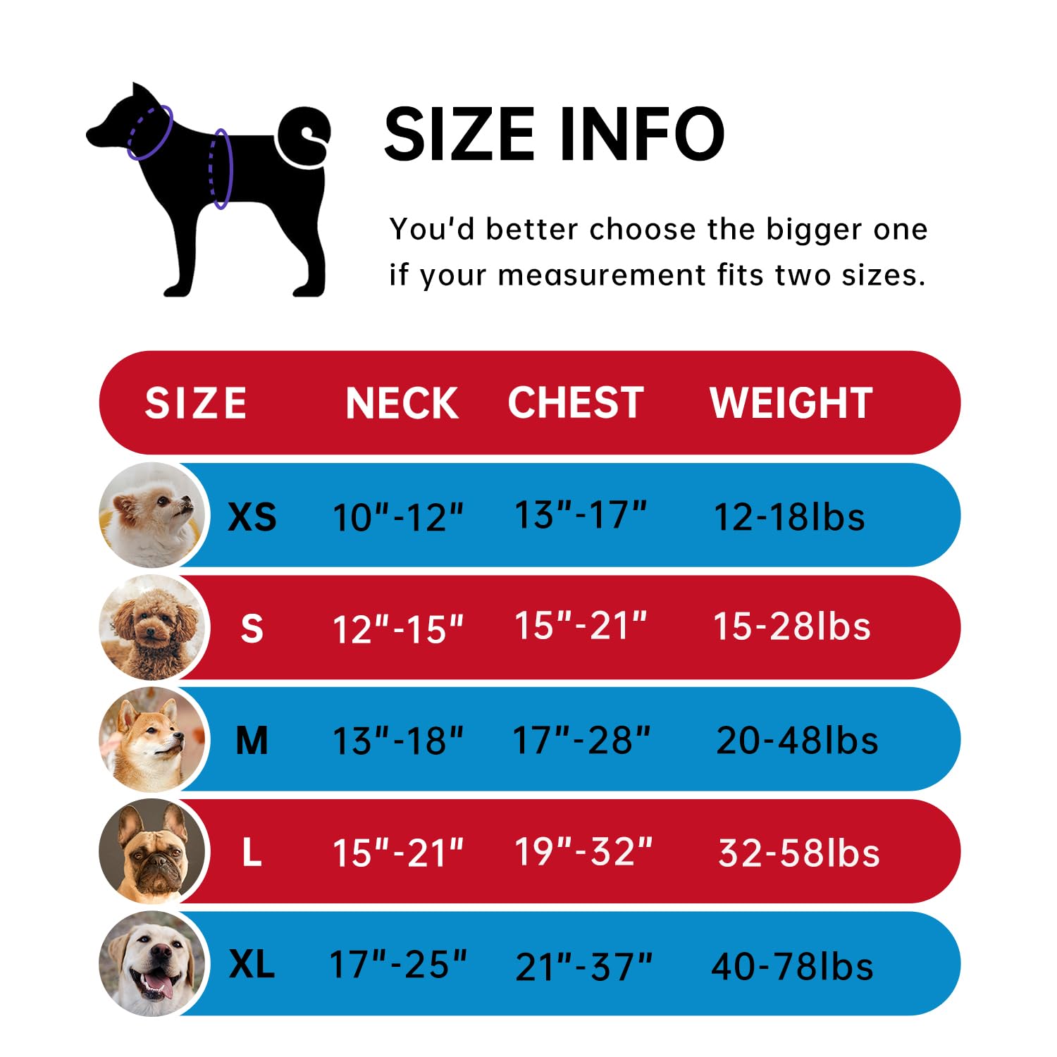 Ivy&Lane No Pull Dog Harness For Medium Dogs, Dog Vest Harness With Leash, Safety Belt And Storage Strap, Fully Adjustable, 360