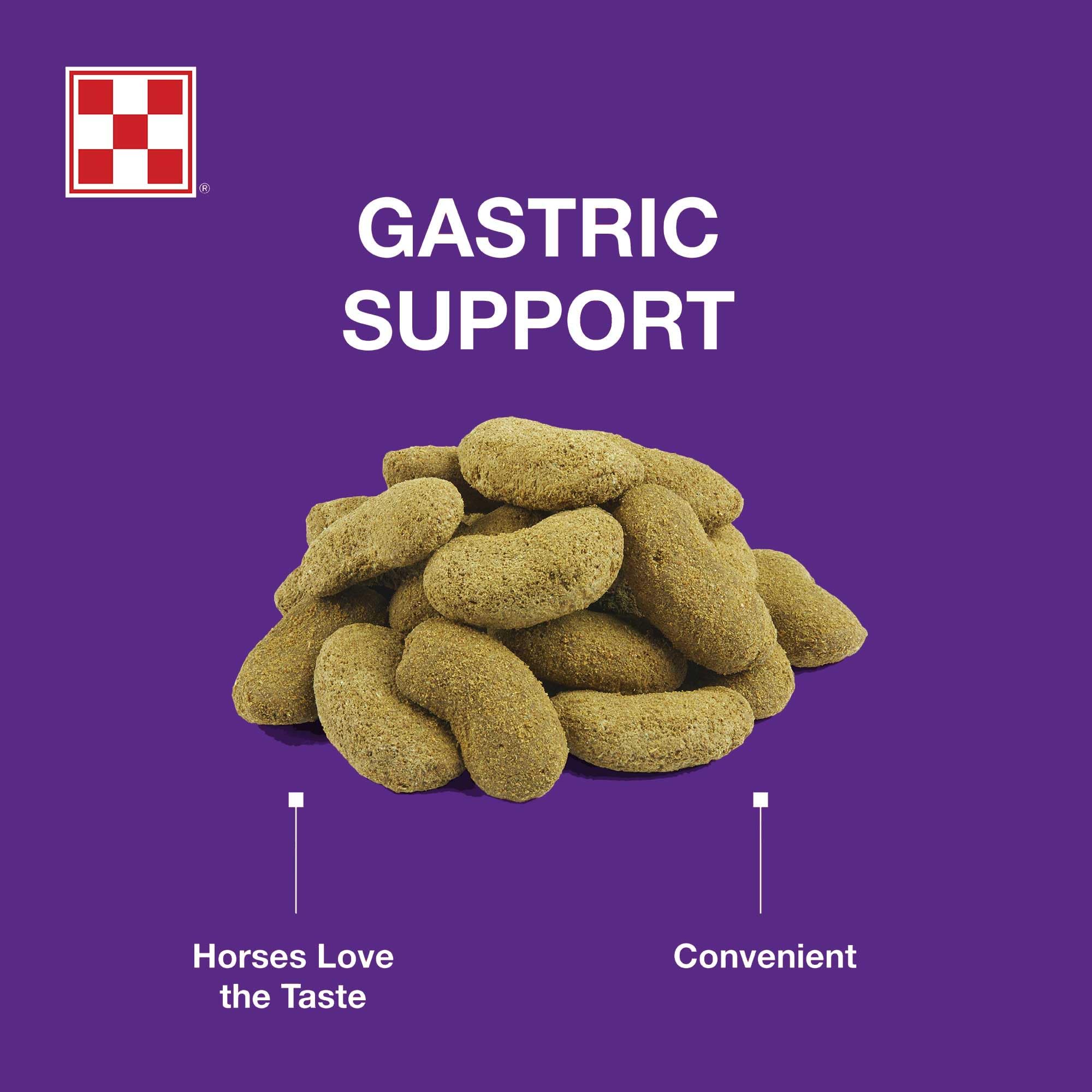 Purina Outlast Horse Treats | Supports Digestive Health | 3.5 lb Bag