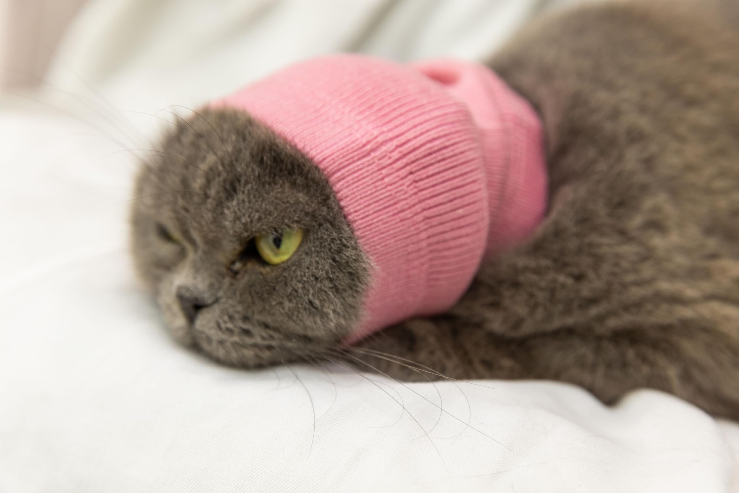 DDFS Cat Ear Cover Calm Cat Ear Wrap Neck Hematoma Compression Comfort Ear Wrap for Cats Wine Red S