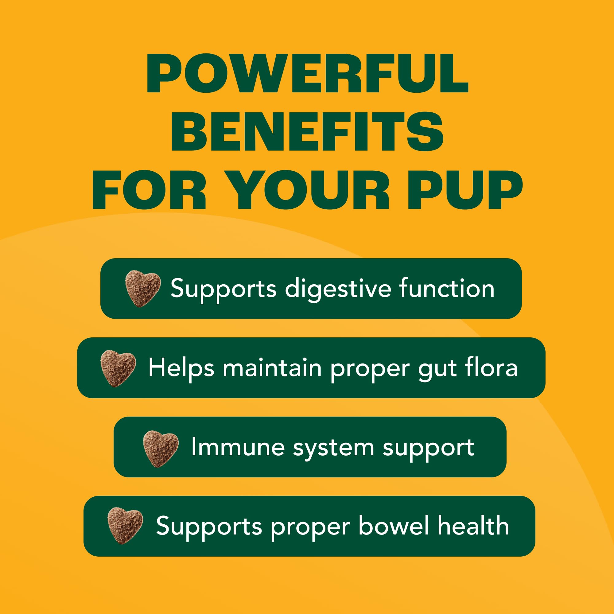 Furtify Probiotics for Dogs with Prebiotics, Fiber, Chicory Root & Pumpkin I 8-Strain Pre and Probiotic Dog Chews | Dog Probioti