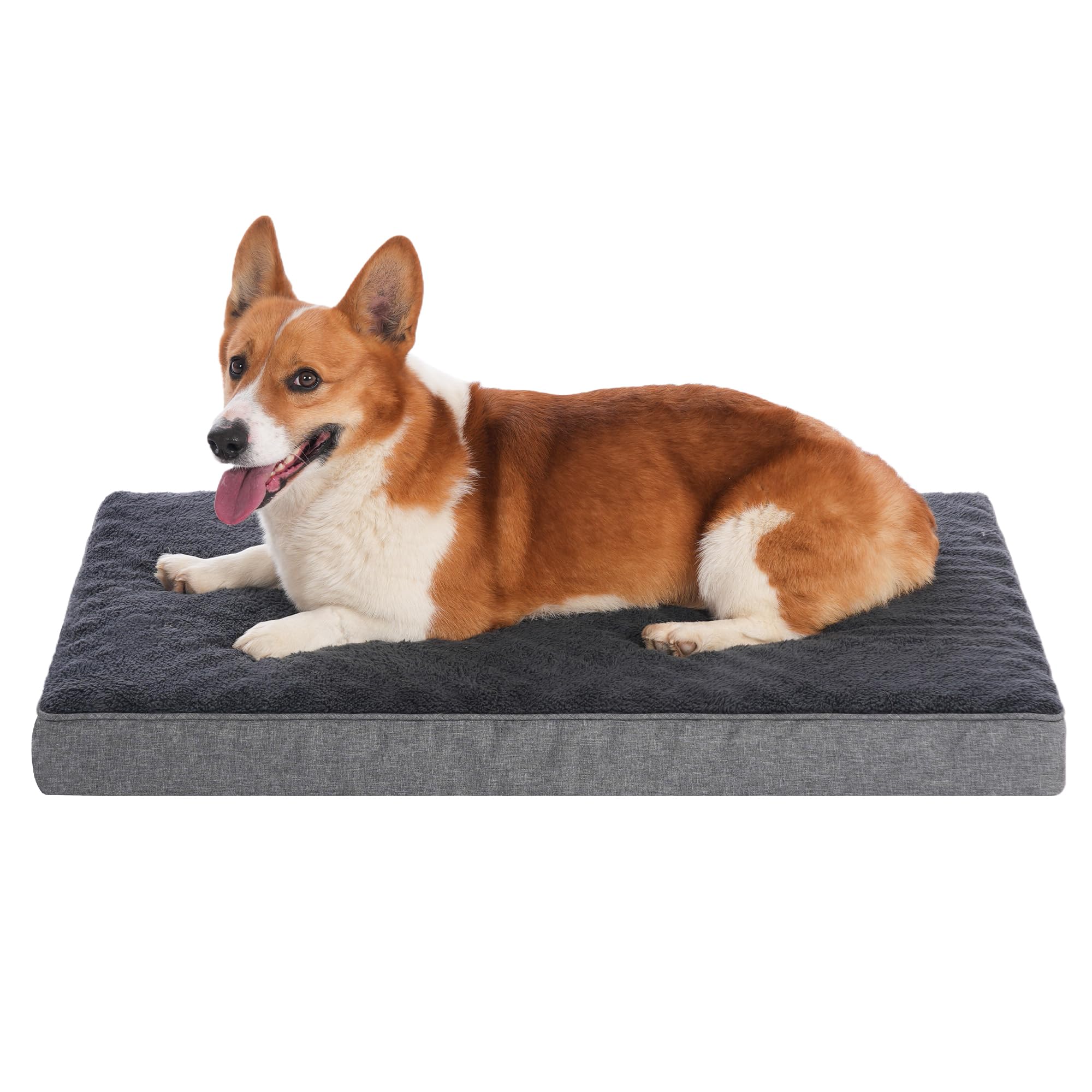Softhola Orthopedic Dog Bed For Small/Medium Dogs, Mat With Removable Washable Cover & Anti-Slip Bottom, Egg Crate Foam - 30 X 2