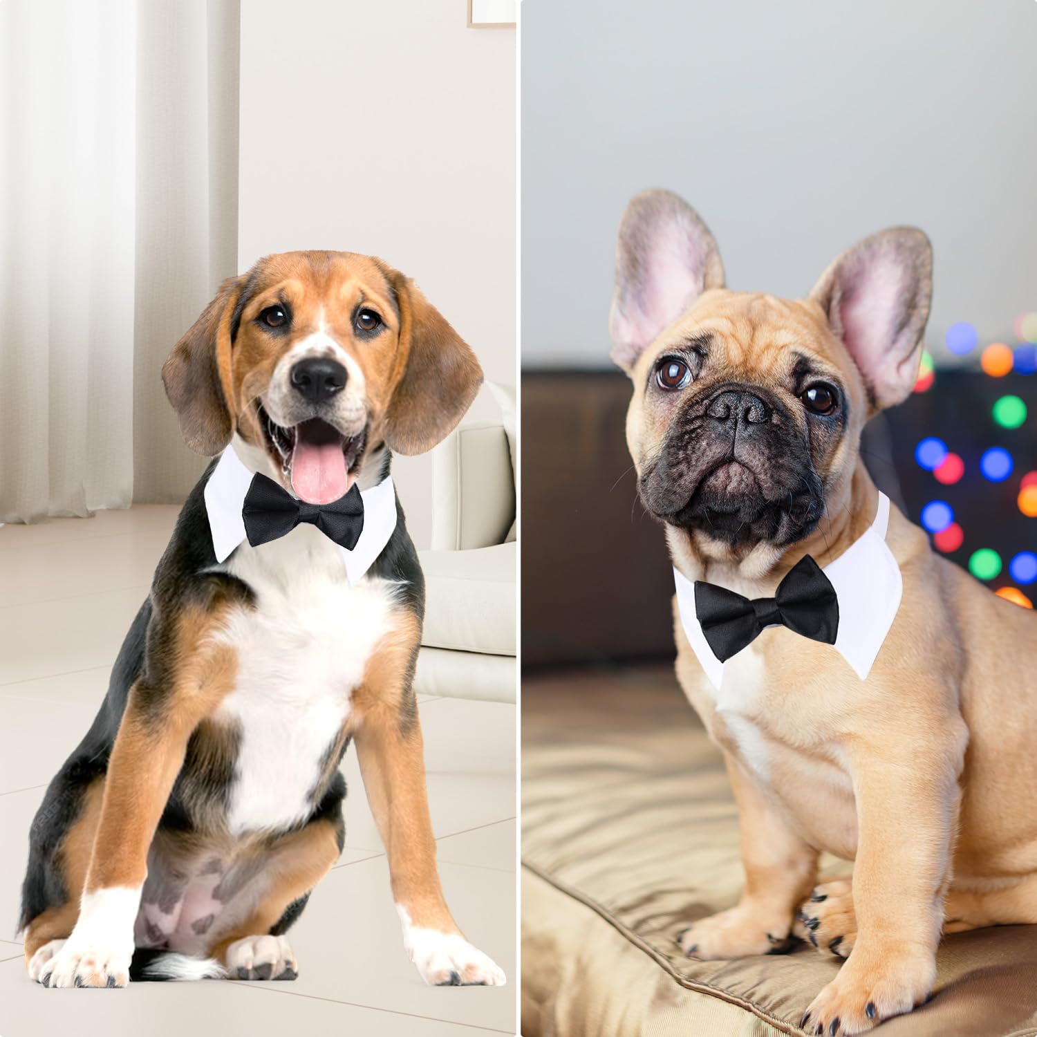 Black Bow Tie Dog Collar, Segarty Cute Tux Dog Bowtie With Handcrafted Adjustable White Collar Formal Pet Cats Puppies Necktie For Small Medium Boy Dog Wedding Birthday Gift