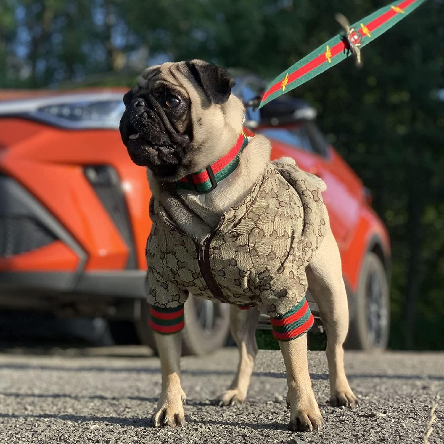 Hqrea Dog Hoodie Luxury Dog Clothes Winter Dog Jacket Classic Designer Small Dog Coats Warm Pet Dog Coat Zipper Design Easy On/Off French Bulldog Teddy Pug Puppy Clothes(S)