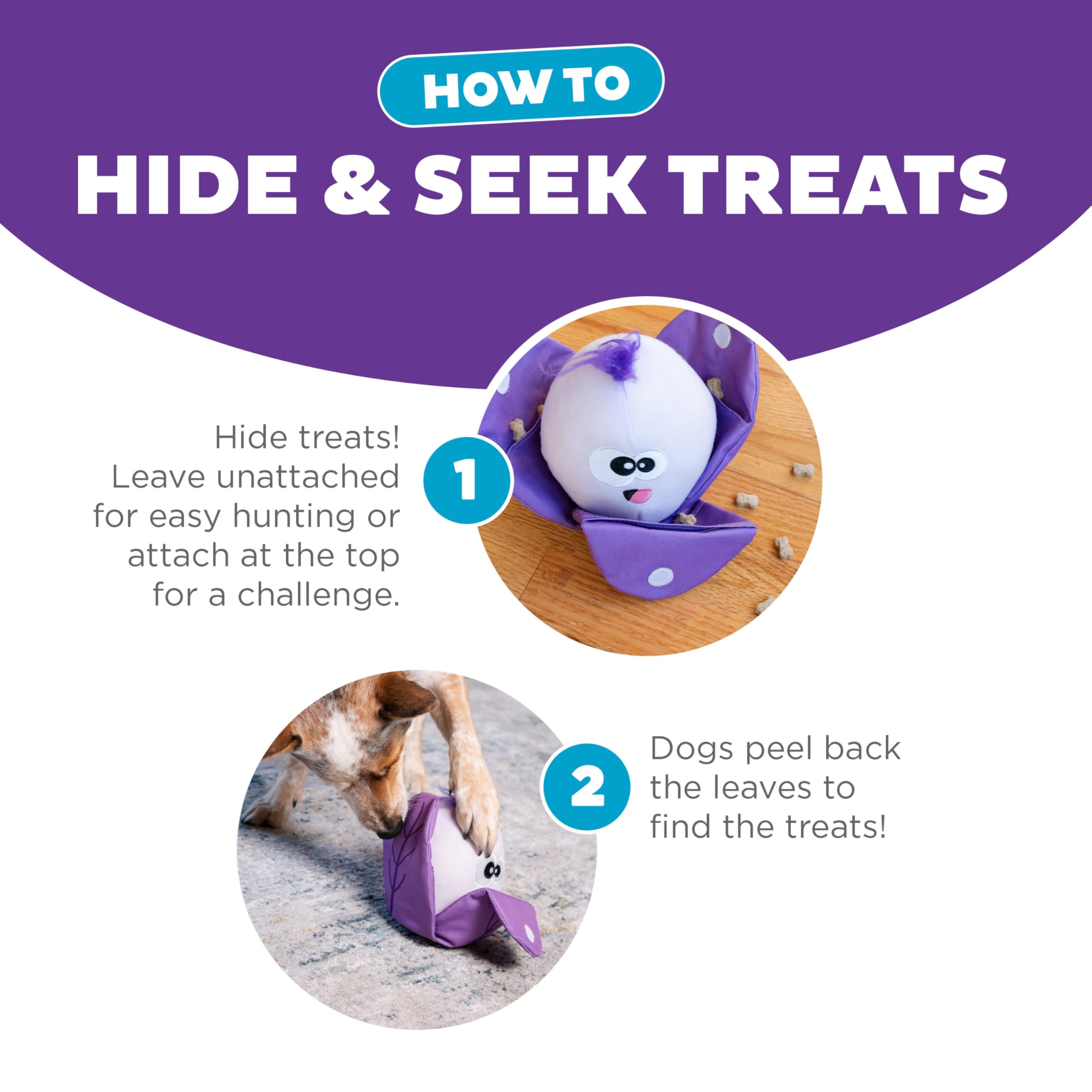 Outward Hound Hide N' Find Interactive Plush Dog Puzzle Toy, Durable, Cauliflower, Purple, Model 71613