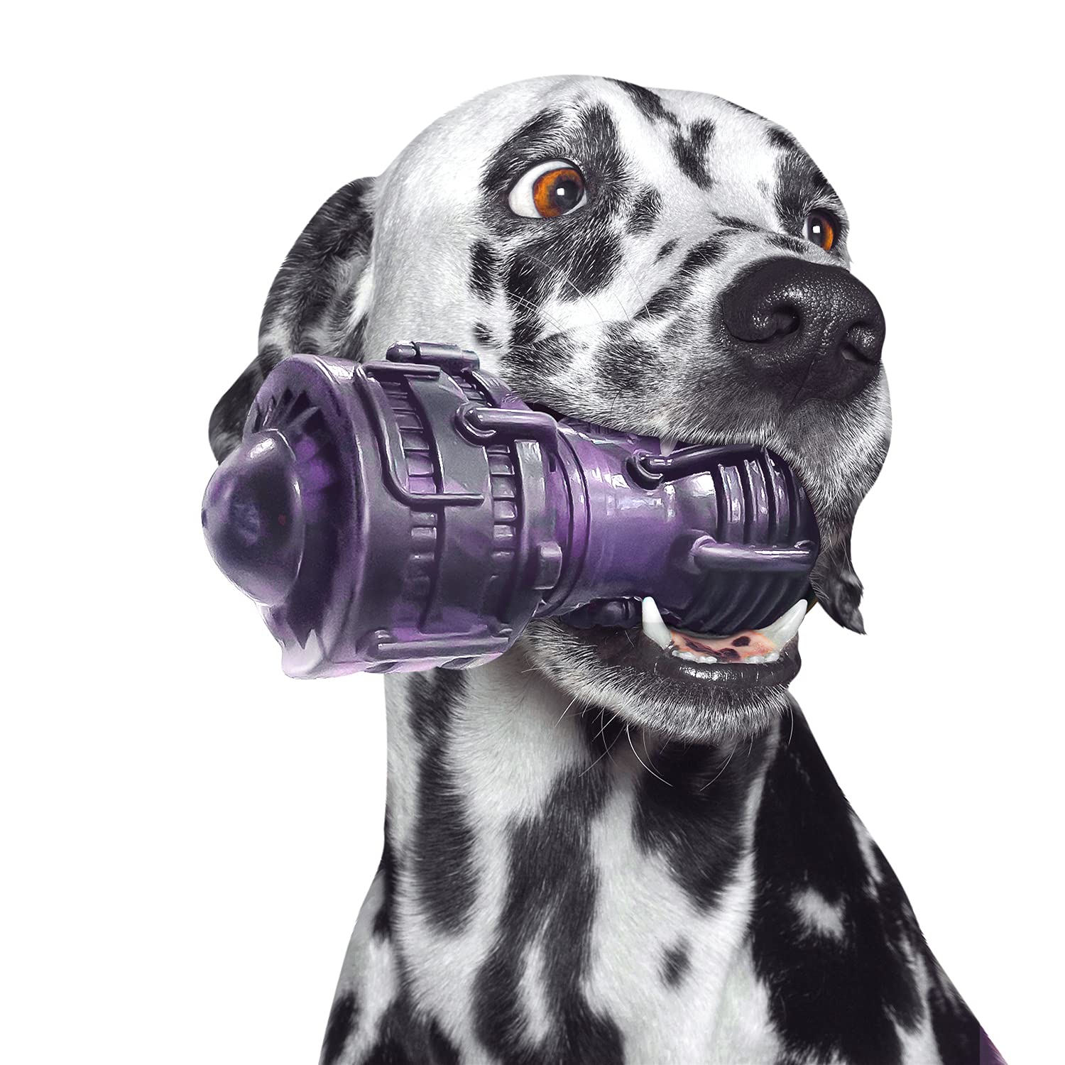 Fifthquarter Squeaky Dog Toys: Almost Indestructible Dog Toys For Aggressive Chewers Natural Rubber Tough And Durable Puppy Chew