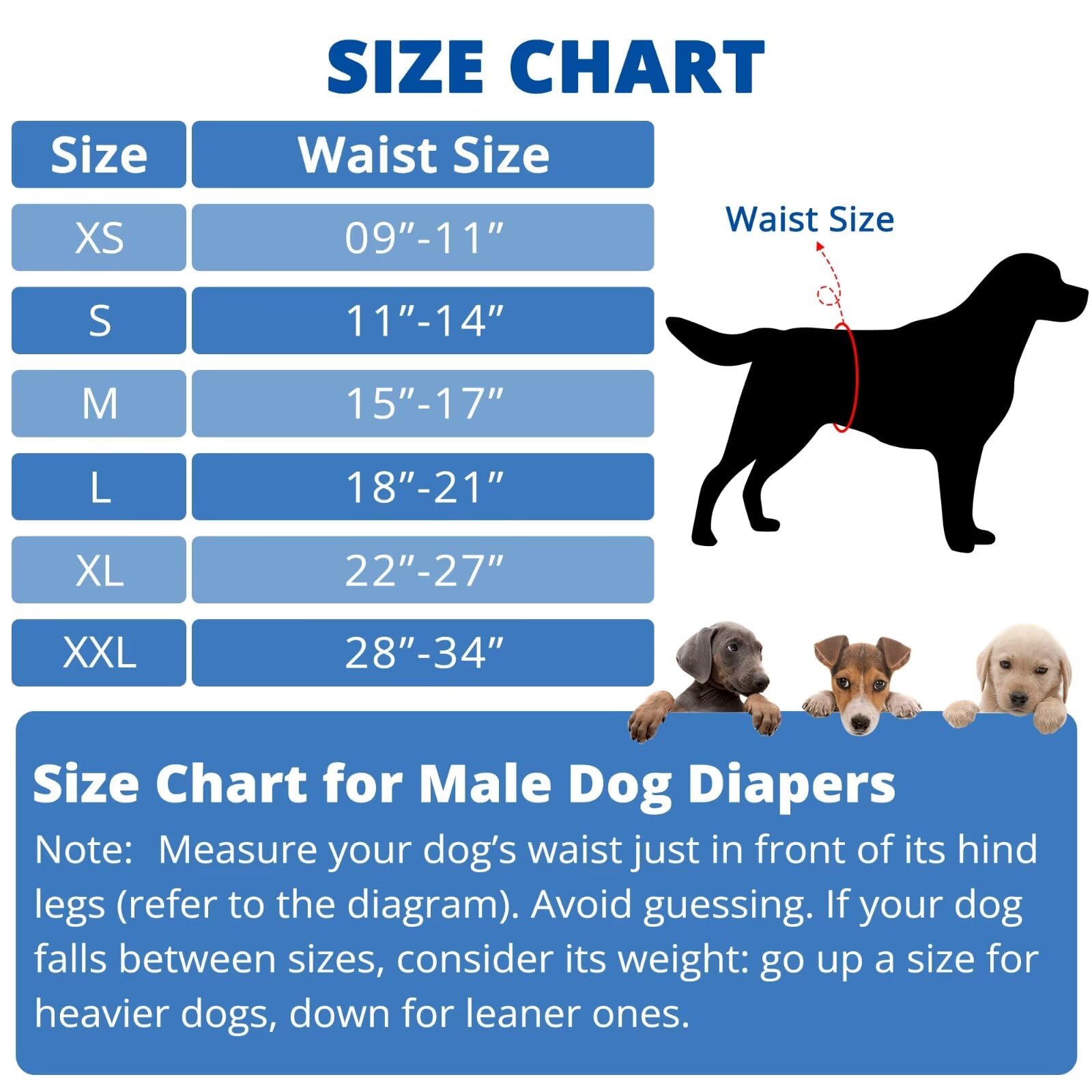 Paw Legend Washable Dogs Diapers Male Dog Belly Bands for Male Dogs Diapers Reusable Puppy & Doggie Diapers Male (3 Pack, XX-Lar