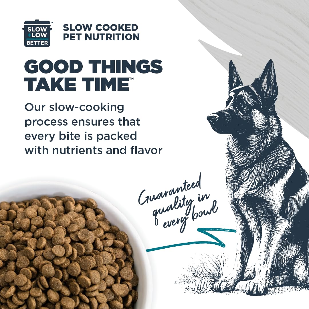Blackwood Complete & Balanced Dry Dog Food, Chicken Meal & Brown Rice, 24 lb Bag with Ancient Grains