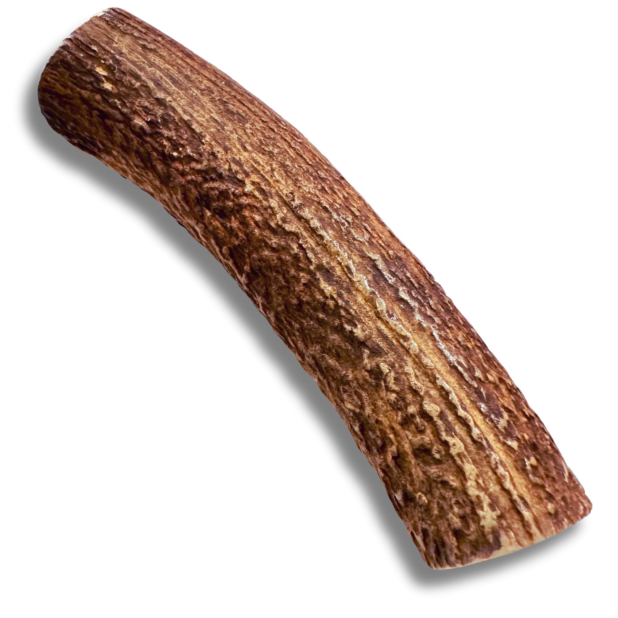 WhiteTail Naturals | Red Deer Antlers for Extra Large Dogs - (Jumbo-XXL) - Naturally Shed, Long Lasting Chew Bone for Aggressive