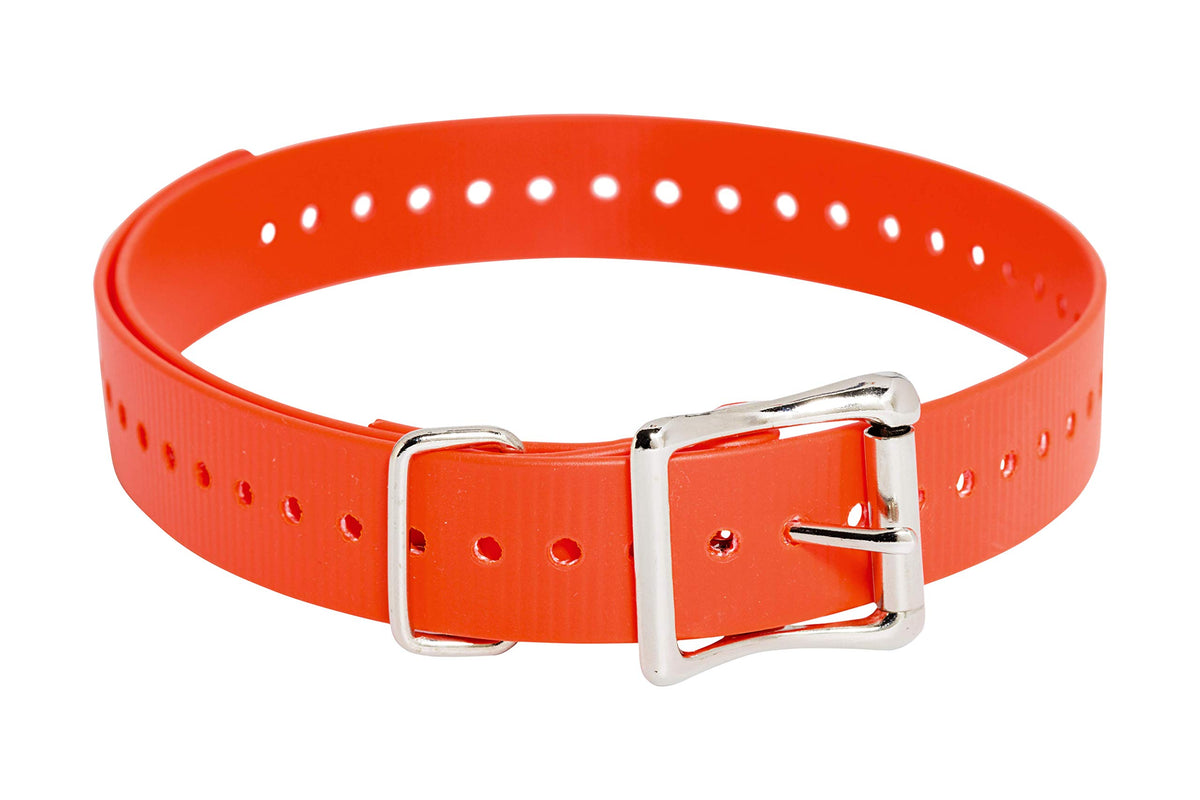 Sportdog Brand 1 Inch Collar Straps - Waterproof And Rustproof - Tightly Spaced Holes For Proper Fit - Orange