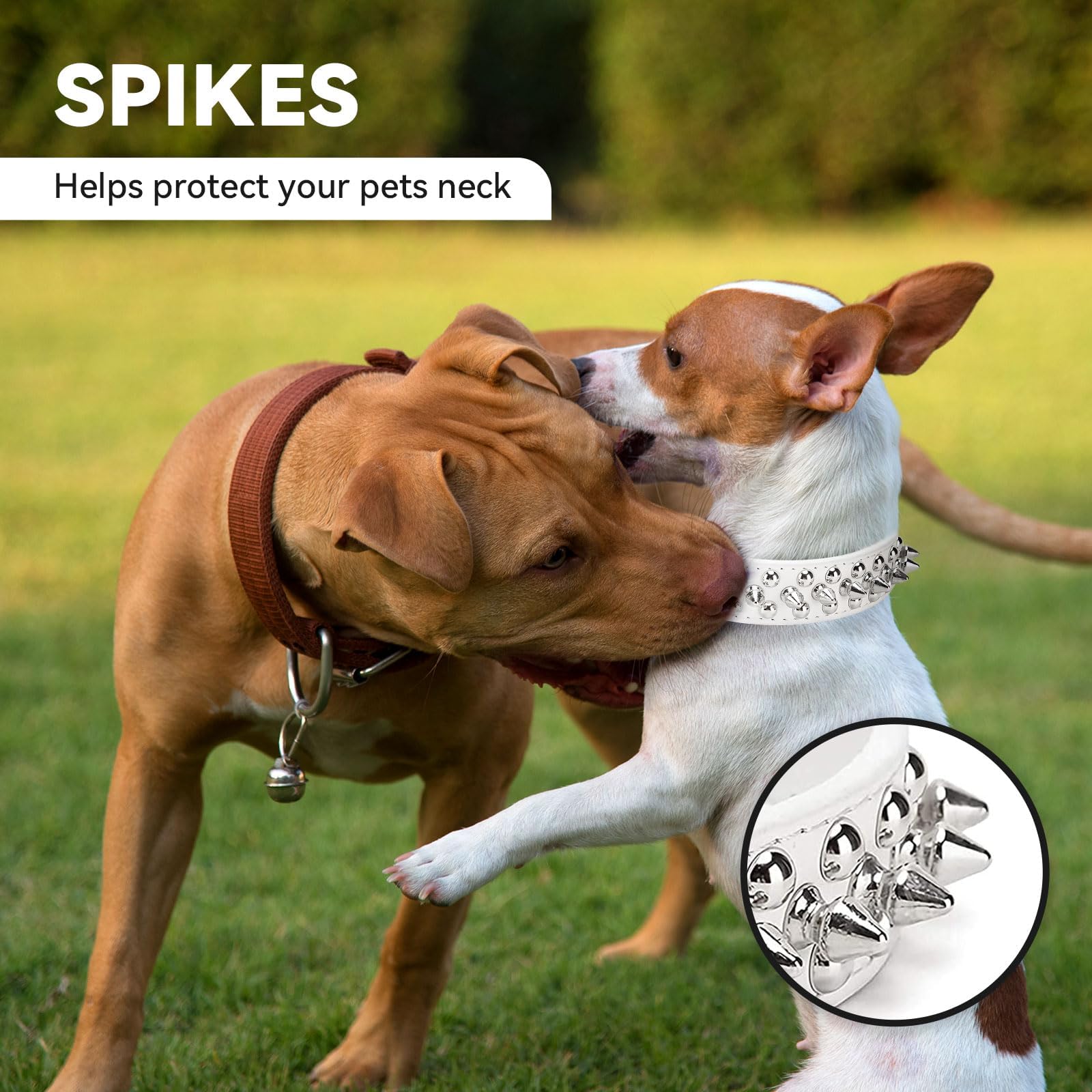 Doggyzstyle Spiked Studded Leather Dog Cat Collar For Small Medium Large Dogs,Soft Adjustable White Pu Leather Cat Small Dog Collars, Durable Leather Puppy Collars For Chihuahua Yorkshire (White,Xxs)