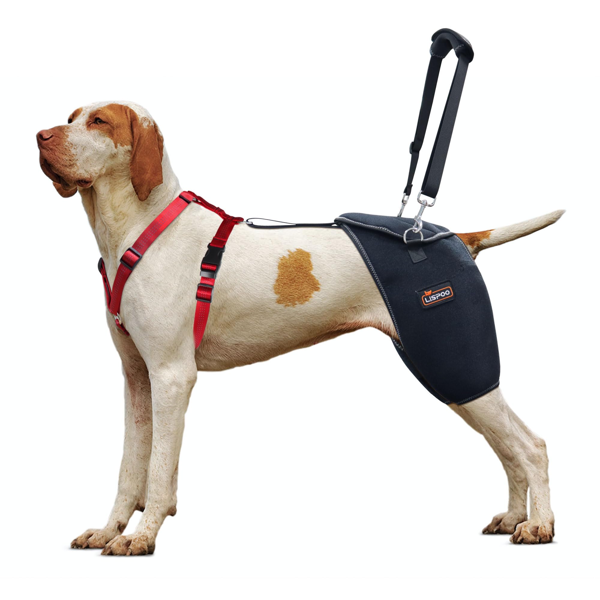 LISPOO Dog Hip Brace for Large Dogs - Adjustable Orthopedic Support Wrap for Dysplasia/Arthritis-Sufficient Breathability, Warm