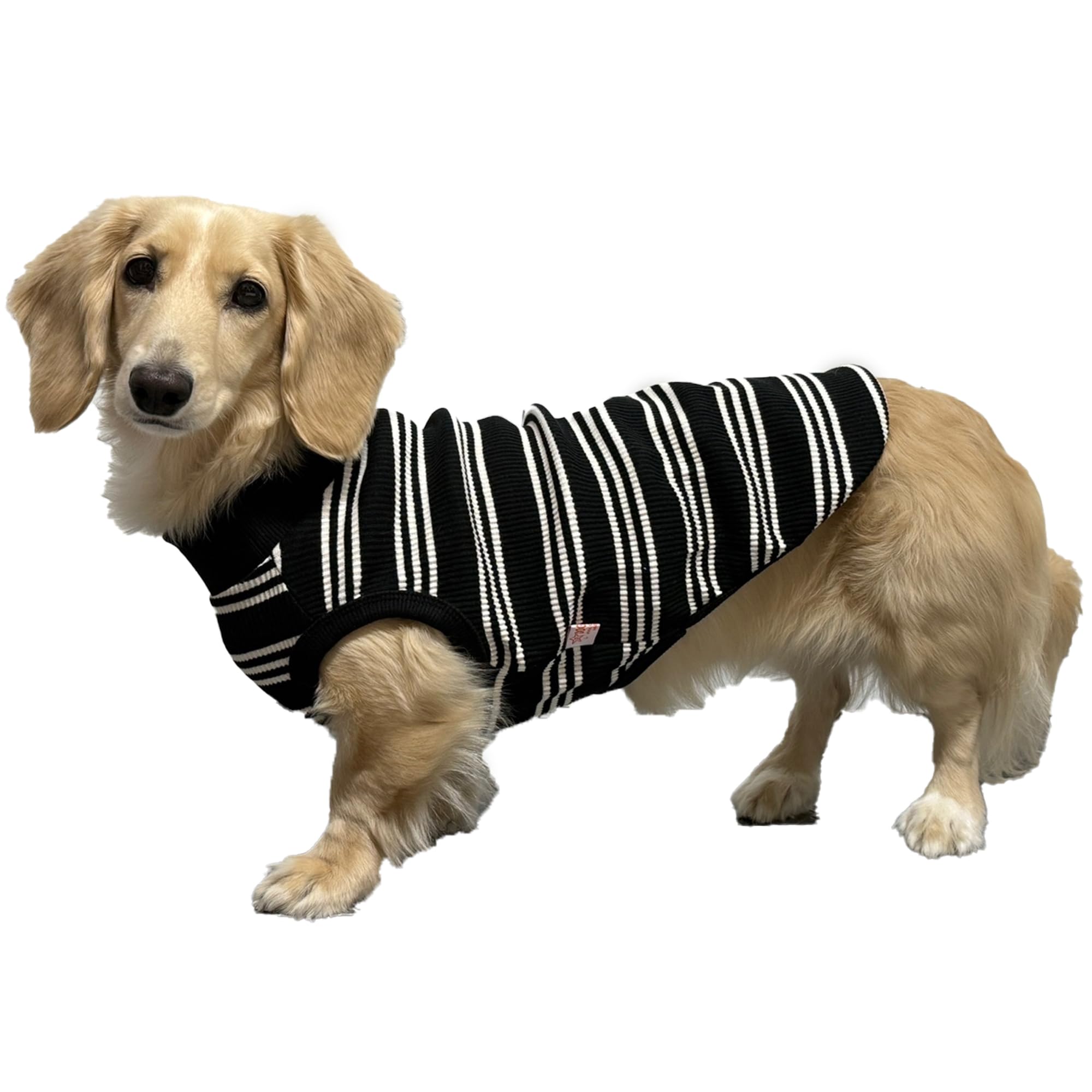 D Doggy Star Dachshund Clothes For Dogs Mini And Adults T Shirts (M,Ivory Stripe)