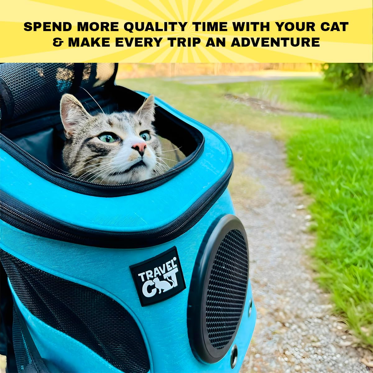 Fat Cat Backpack Carrier - Airline Approved Cat Carrier With Space Capsule Bubble For For Small Cats, Kitten - Premium Aqua Cat