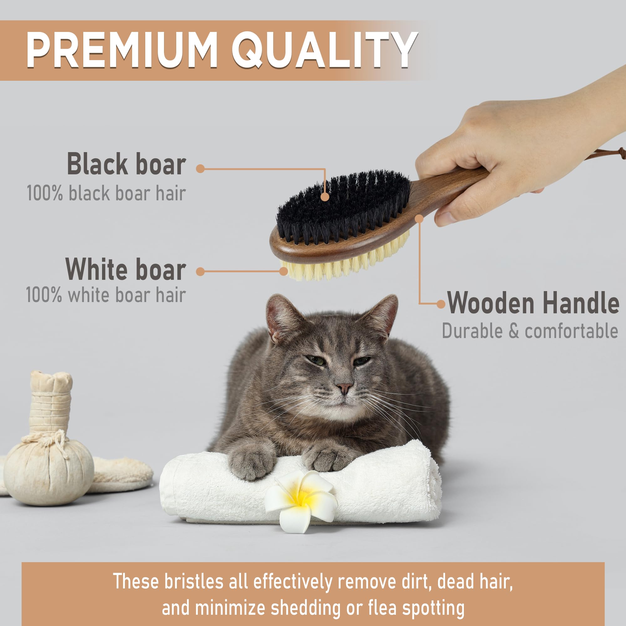 Takavu Double-Sided Boar Bristle Cat Brush - Natural Grooming Tool For Gentle Cleaning, Shine & Reduced Loose Hair - Wood Handle