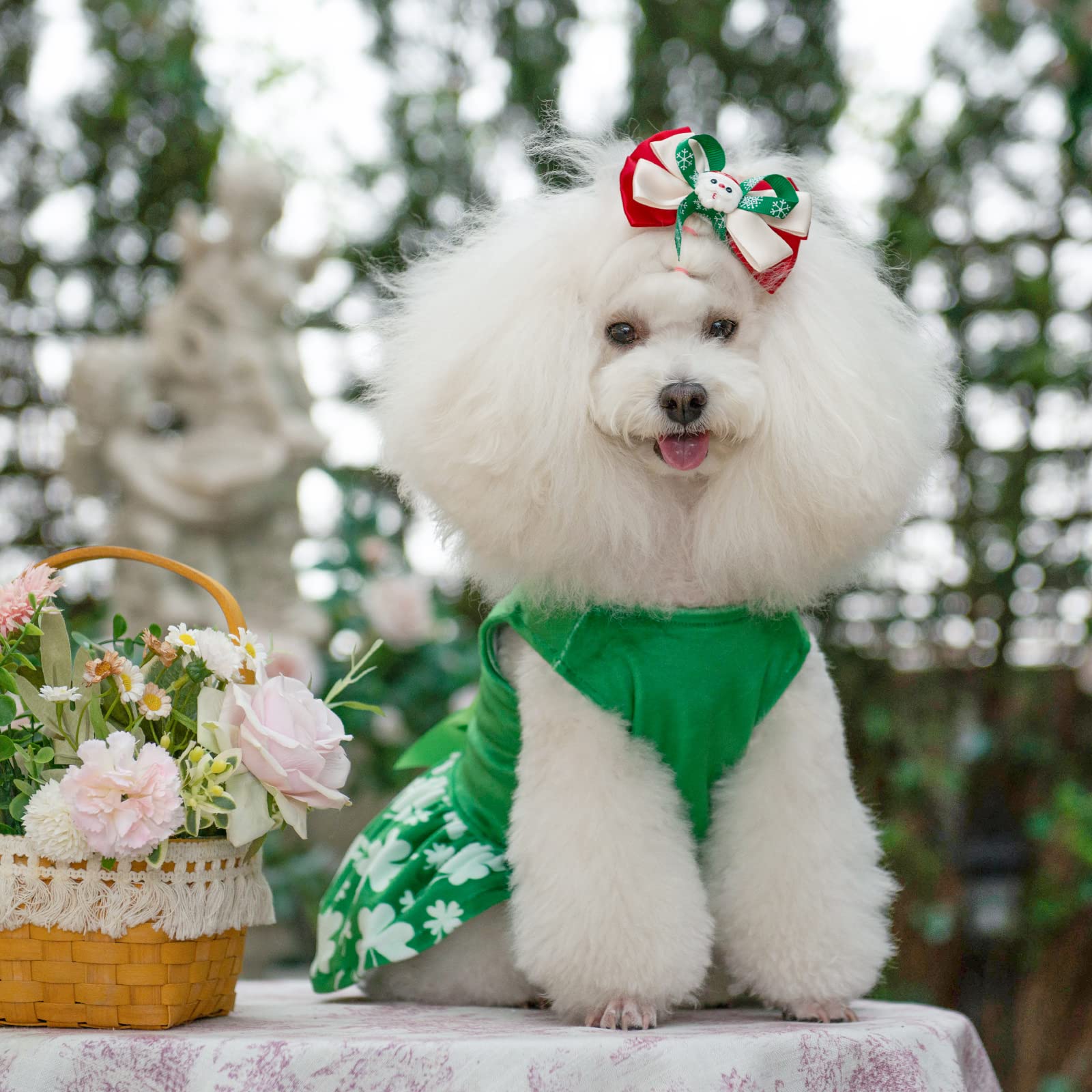 Cutebone St.Patrick'S Day Dog Green Dress Velvet For Small Dogs Girl Puppy Dresses Clover Dog Clothes Cva14L-D