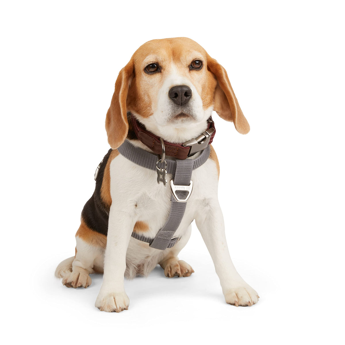Reddy Grey Reflective Dog Harness Large