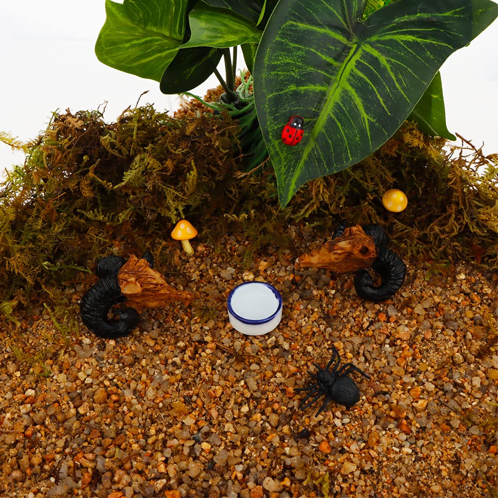 9 Pcs Spider Micro Water Bowl Tarantula Mini Ceramic Dish For Tarantula Spider Millipede Tiny Bugs (Small Size: 0.86 D, 0.43