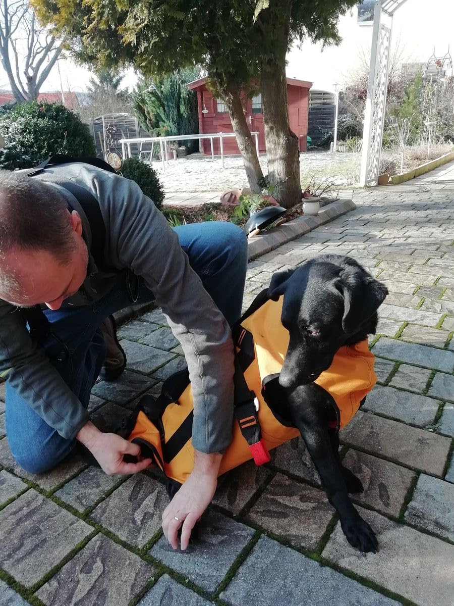 Singing Rock Laika Dog Harness