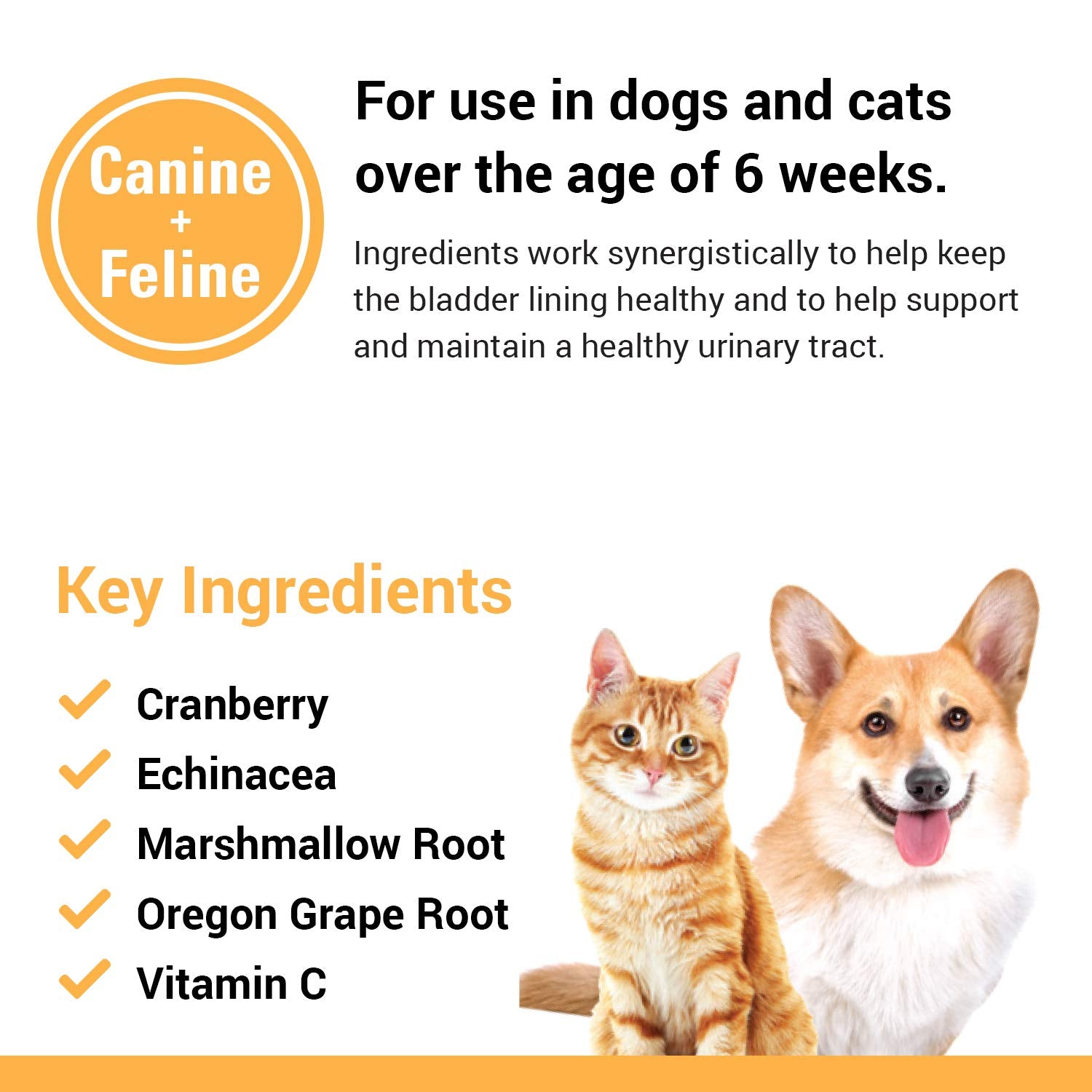 Vet Classics Cranberry Comfort Urinary Tract Pet Supplement for Dogs, Cats - Maintains Dog Bladder Health, Cat Bladder Control -