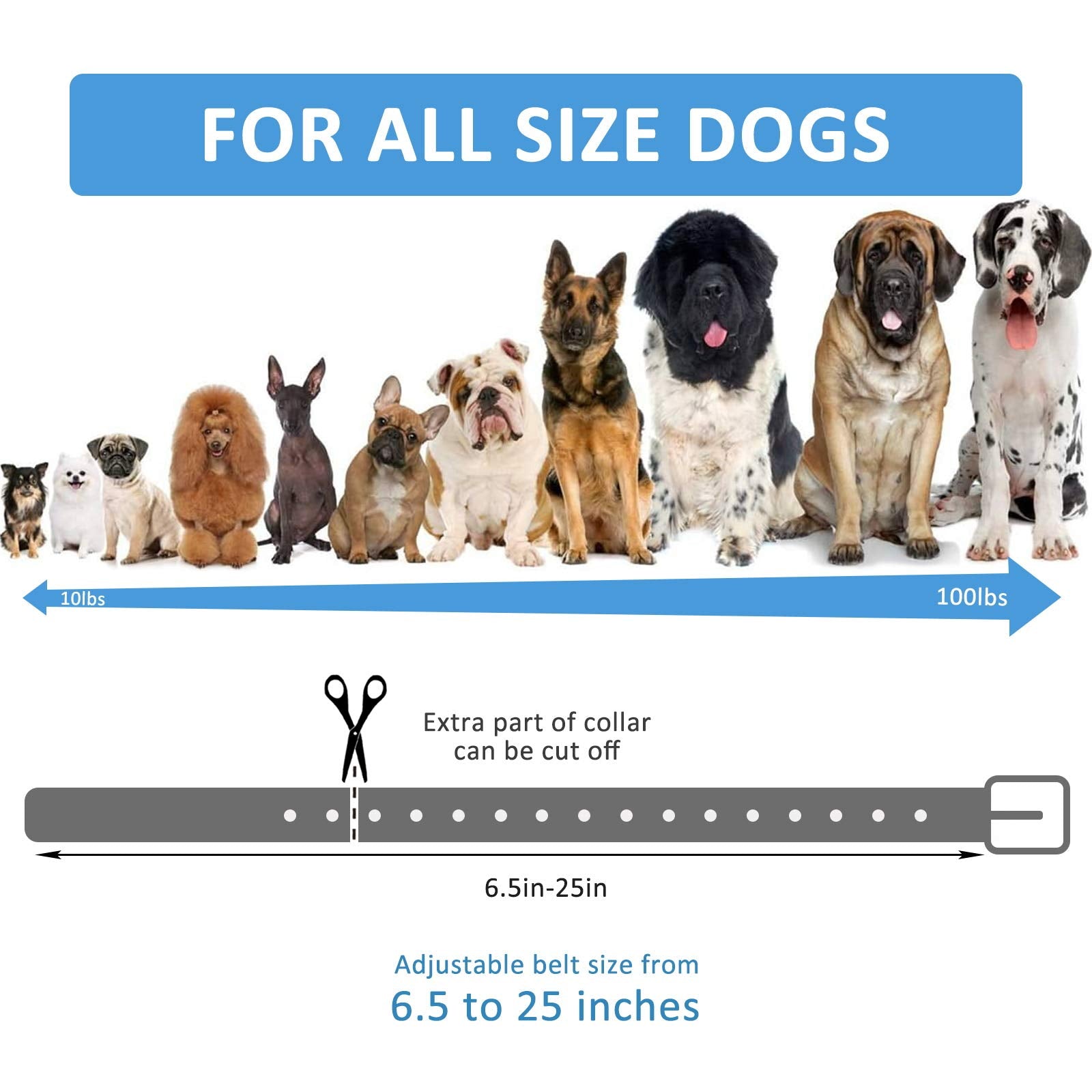 Luckinpet Waterproof Dog Collar Replacement Strap For Shock Collar And Fence Easy Clean Odorless Dog Collar Metal Buckle 3/4 Inc
