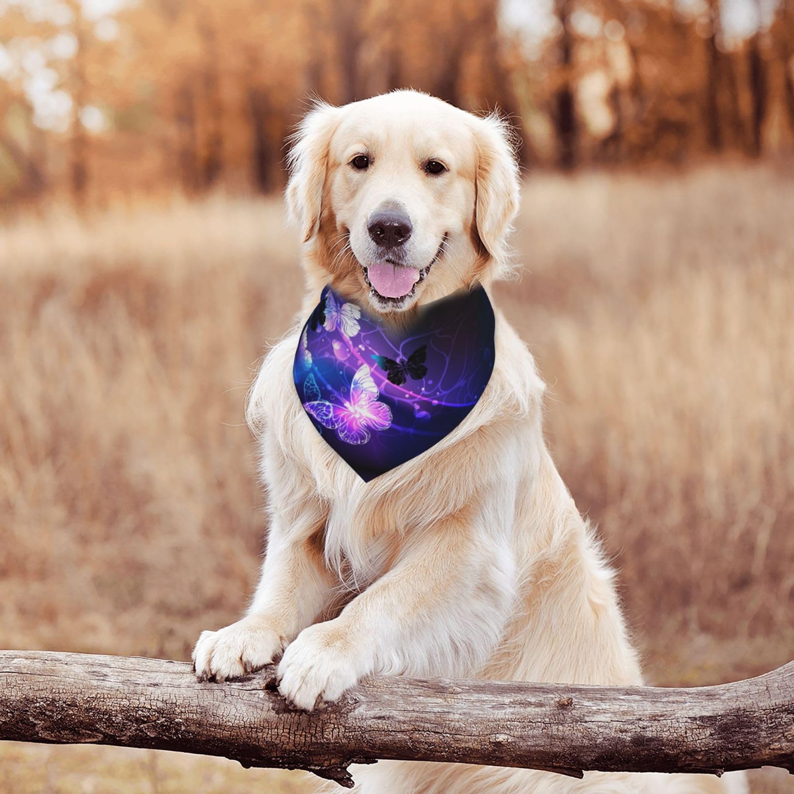 Glowing Night Butterflies Dog Bandana Scarf Triangle Bibs Pet Accessories Cat Kerchief White25 One Size