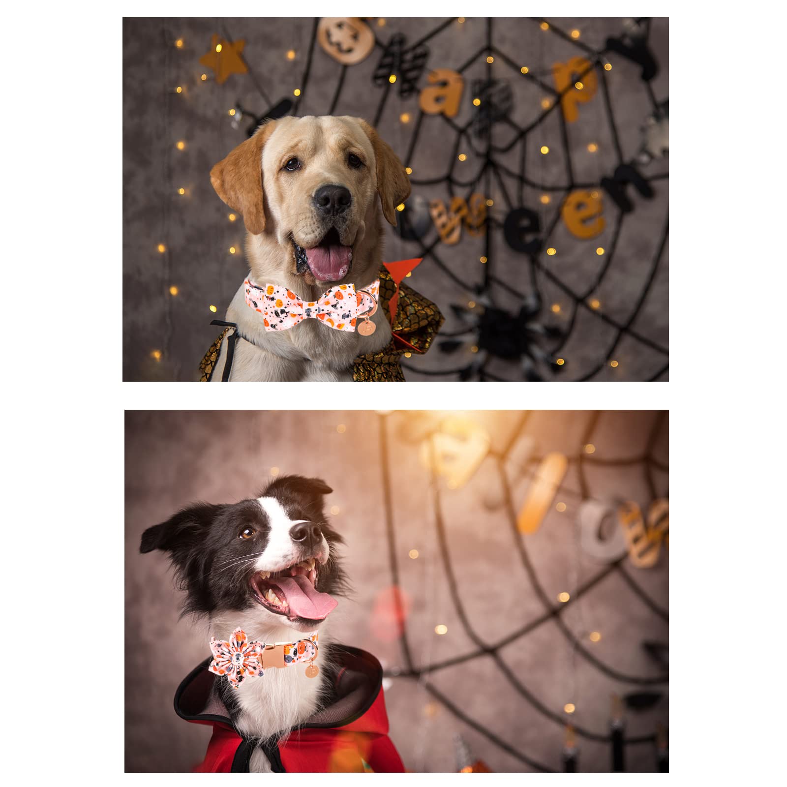 Up Urara Pup Halloween Dog Collar With Bow Tie, Pumpkin Cotton Bowtie Collar For Small Girl Dog, Female Halloween Bow Tie Collar With Durable Metal Buckle, Adorable Pet Collar, S, Neck 10-16In