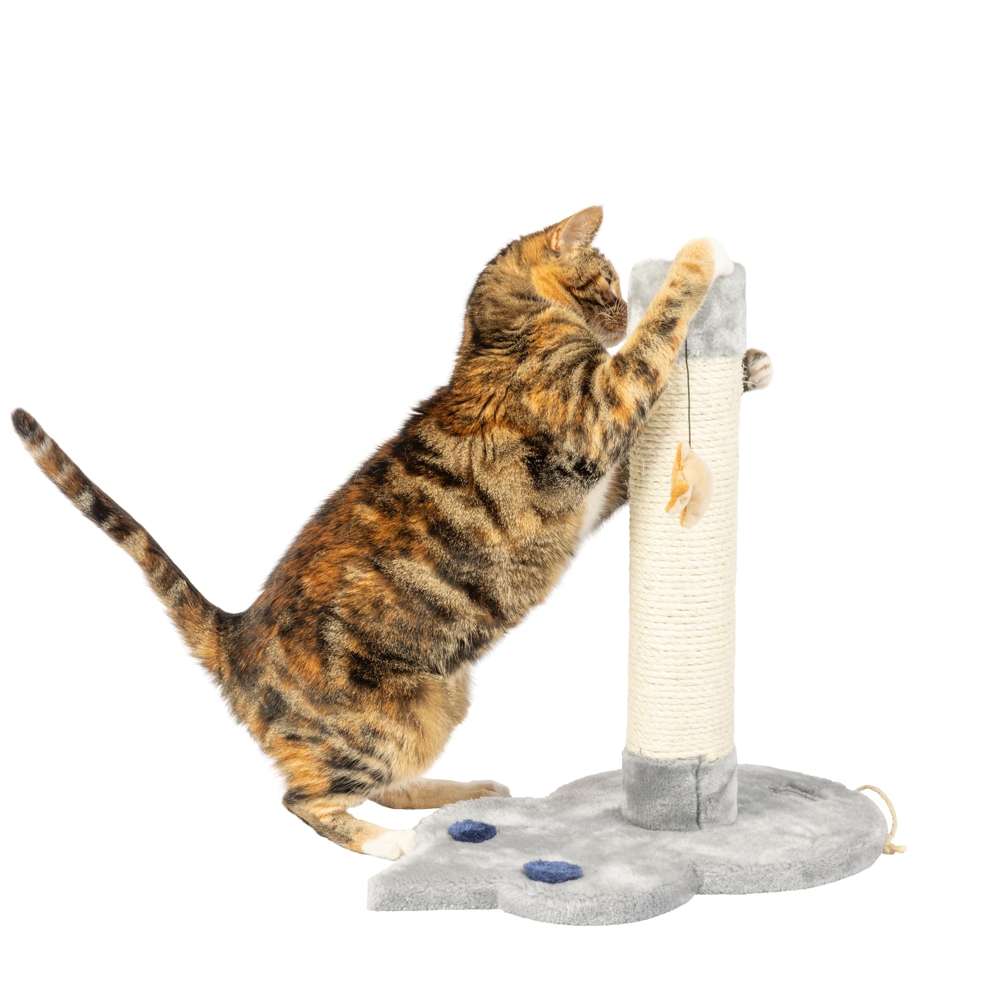 Aeromark X1801 Armarkat Mouse Shape Scratcher, 19'(L) X11(W) X19(H),Grey