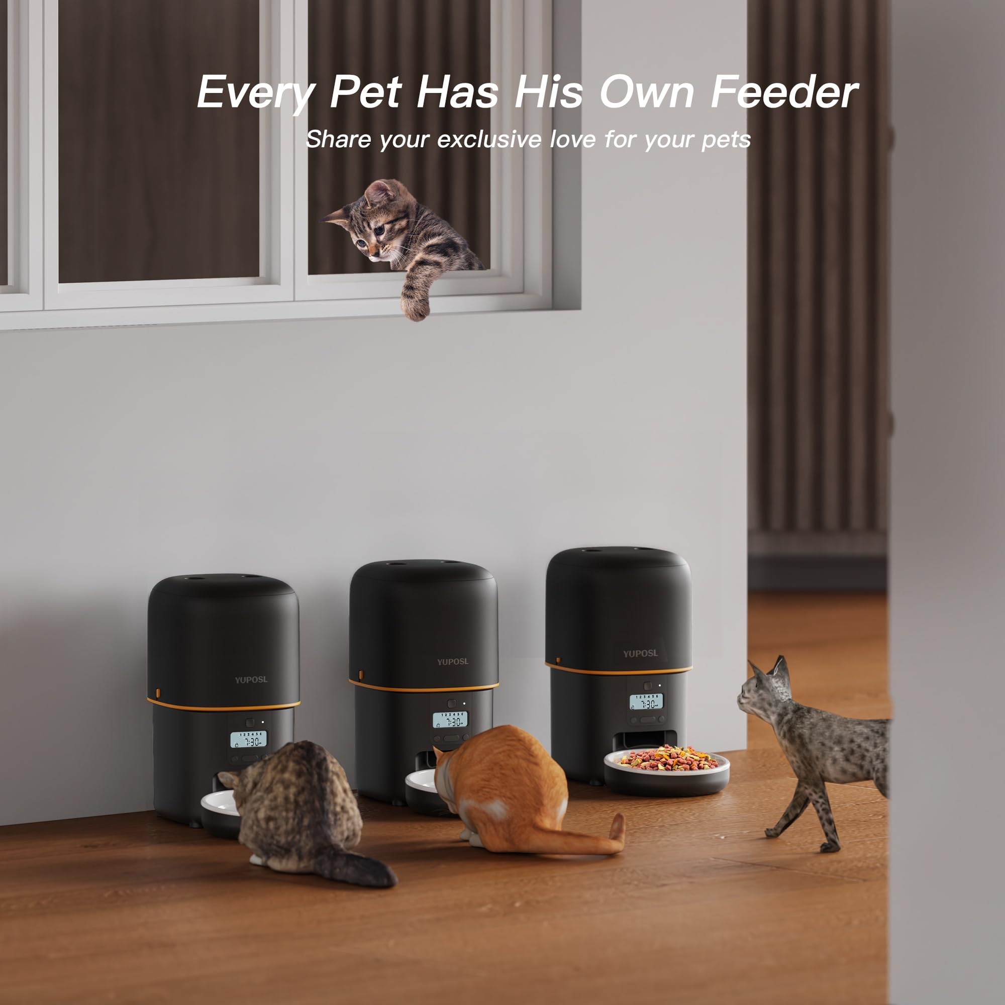 Automatic Cat Feeder - 2L Cat Food Dispenser, Timed Auto Pet Feeder with 180-day Battery Life, 1-6 Meals Per Day, 1-16 Portion,