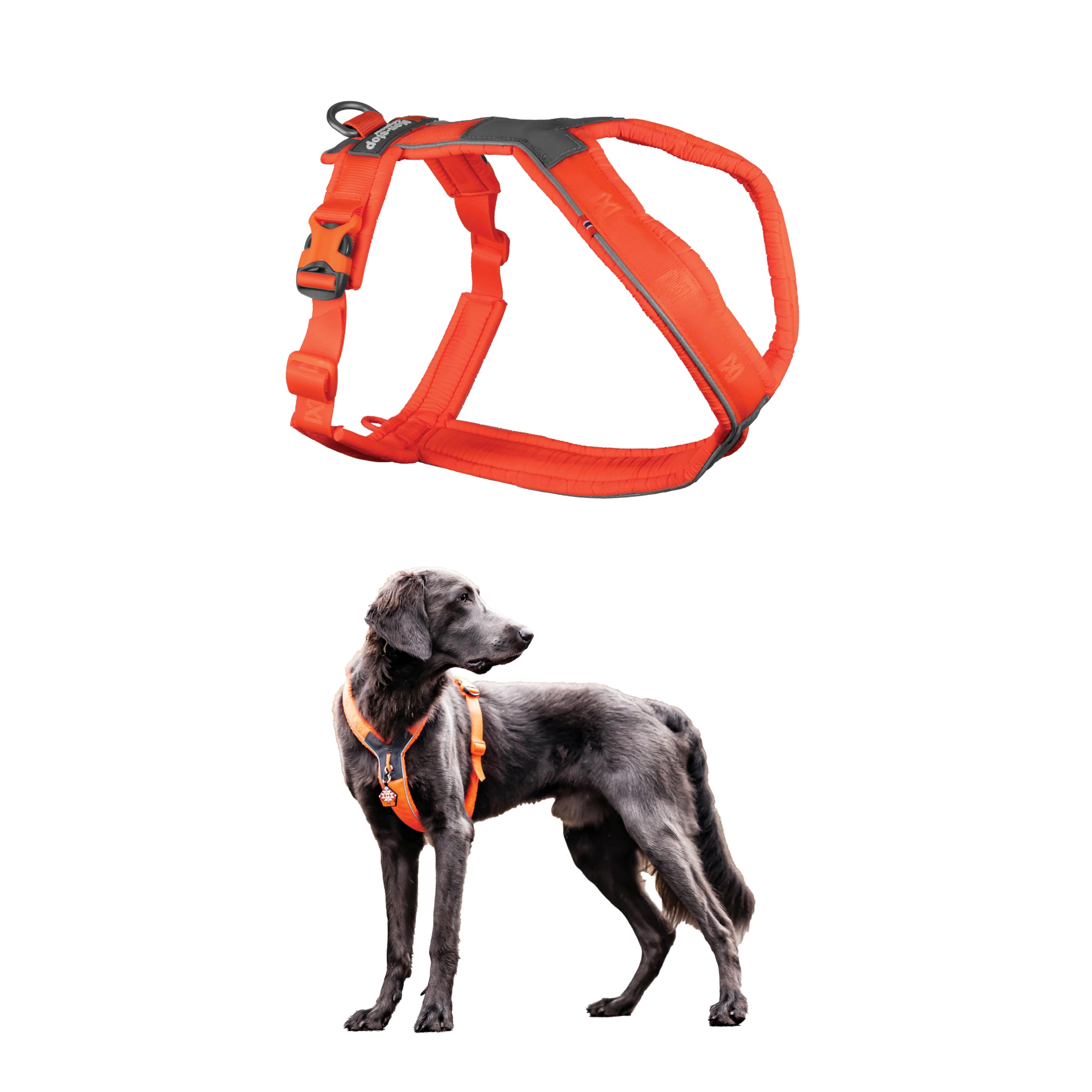 Non-Stop Dogwear Line Harness 5.0, Padded Dog Harness For Large Dogs, Made For Hiking, Sport And Everyday Active Life With 3 Lea