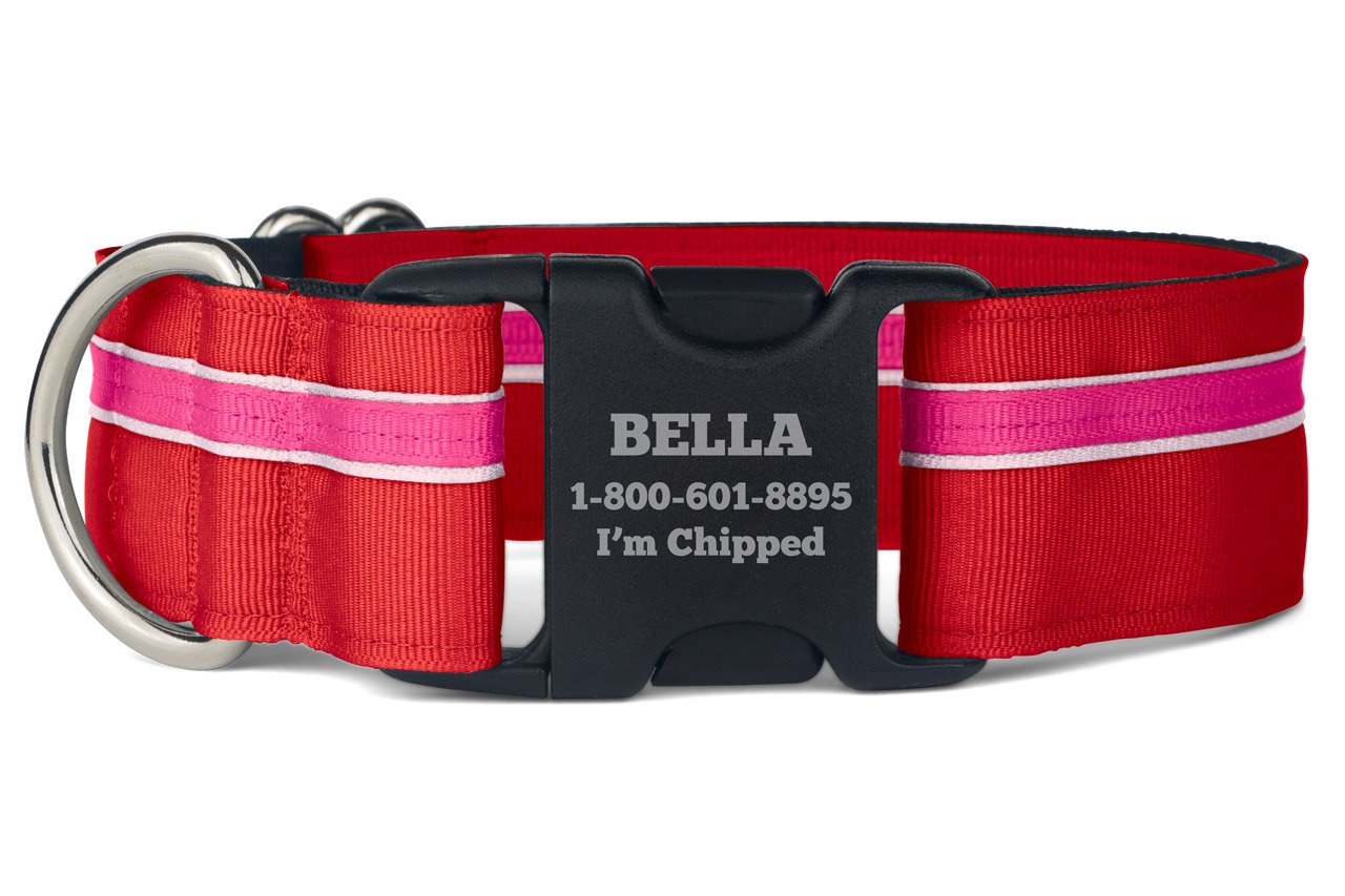 If It Barks Personalized 1.5'' Striped Dog Collar - Engraved Name - Custom Size, Shortcake