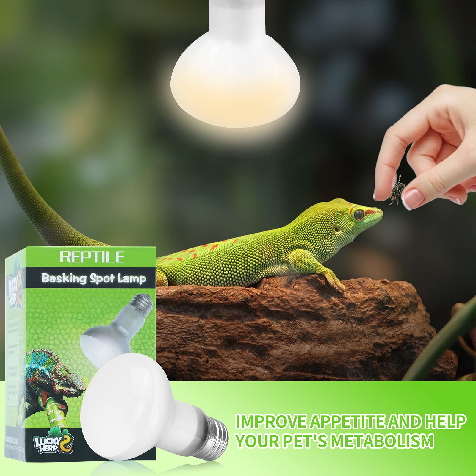 Lucky Herp 2 Pack Reptile Heat Lamp Bulbs 75W (2Nd Gen), Basking Light Bulb For Reptiles & Amphibians, Simulated Natural Sunligh