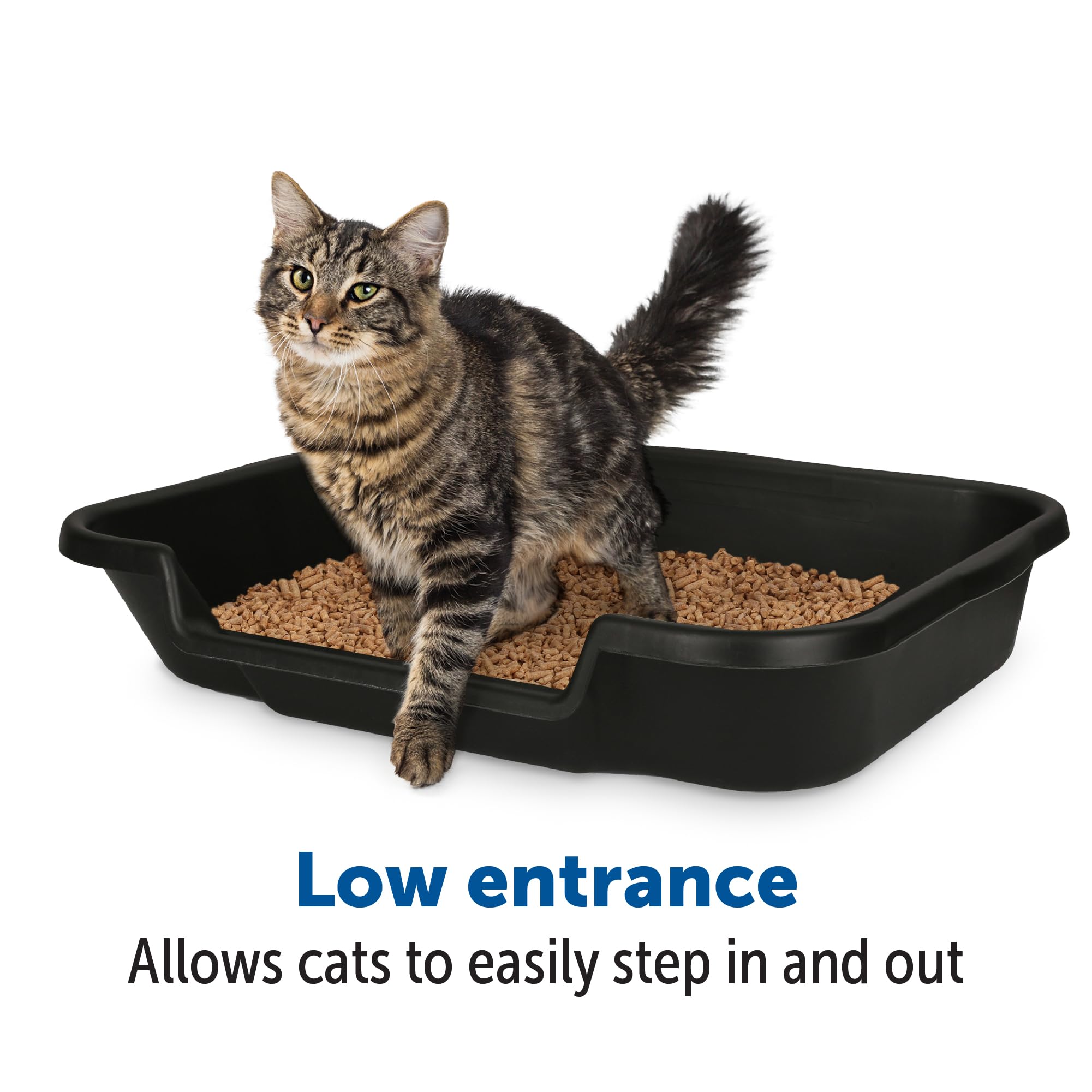 KittyGoHere Senior Cat Litter Box 1 Pack, Large Black Low Entrance Kitty Litter Box, Sized for Cats Comfort, Perfect for Senior
