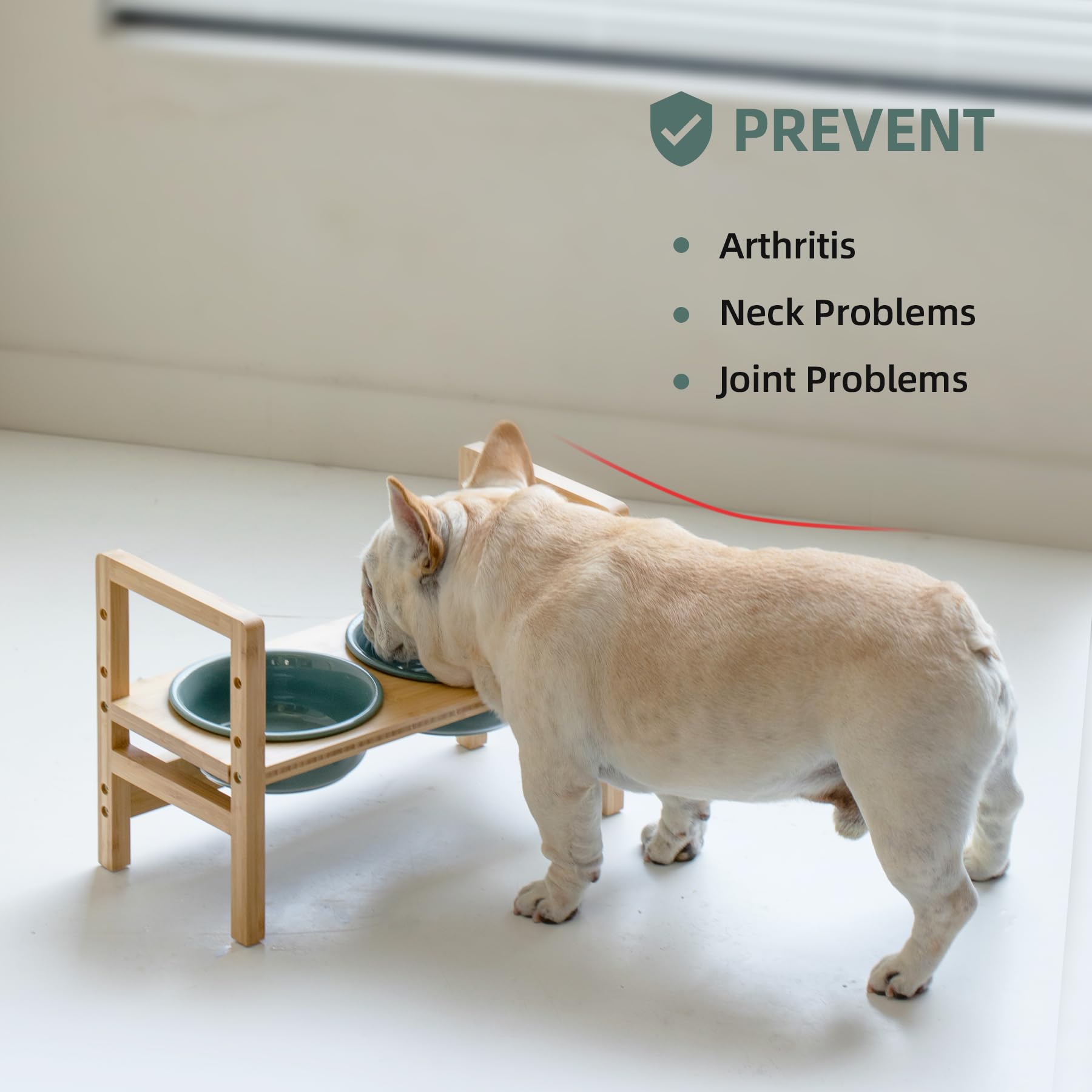 Havniva Ceramic Adjustable Raised Double Dog Bowls With Wooden Stand, 3 Heights Elevated For Small Dogs (Double 5.9'' Bowls, Dar