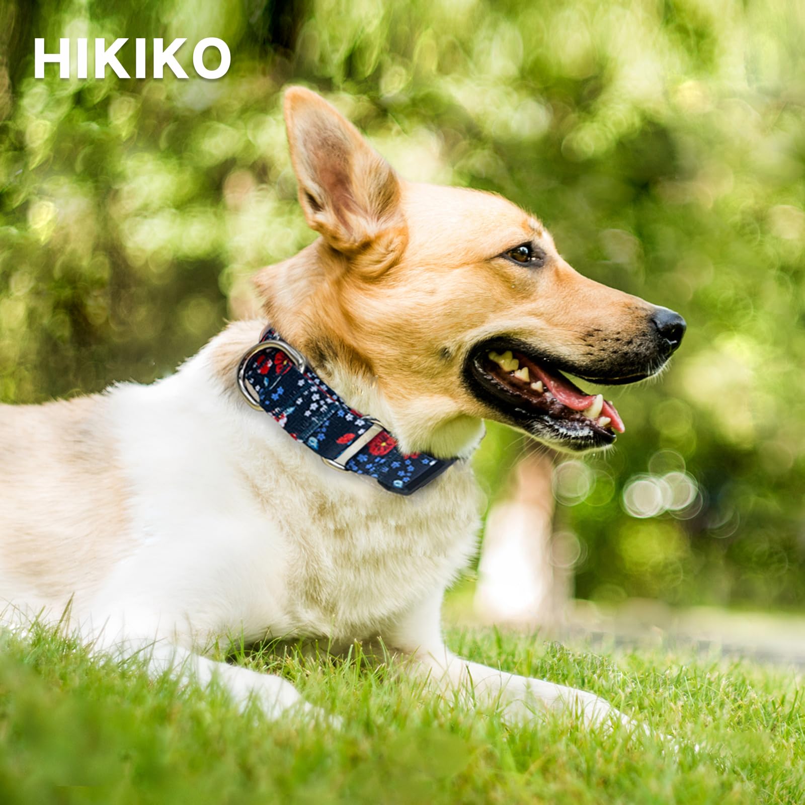 Hikiko Martingale Collar For Dogs Cute Floral Dog Collar For Small Medium Large Dogs Soft Nylon Flower Dog Collars (Plum Blossom