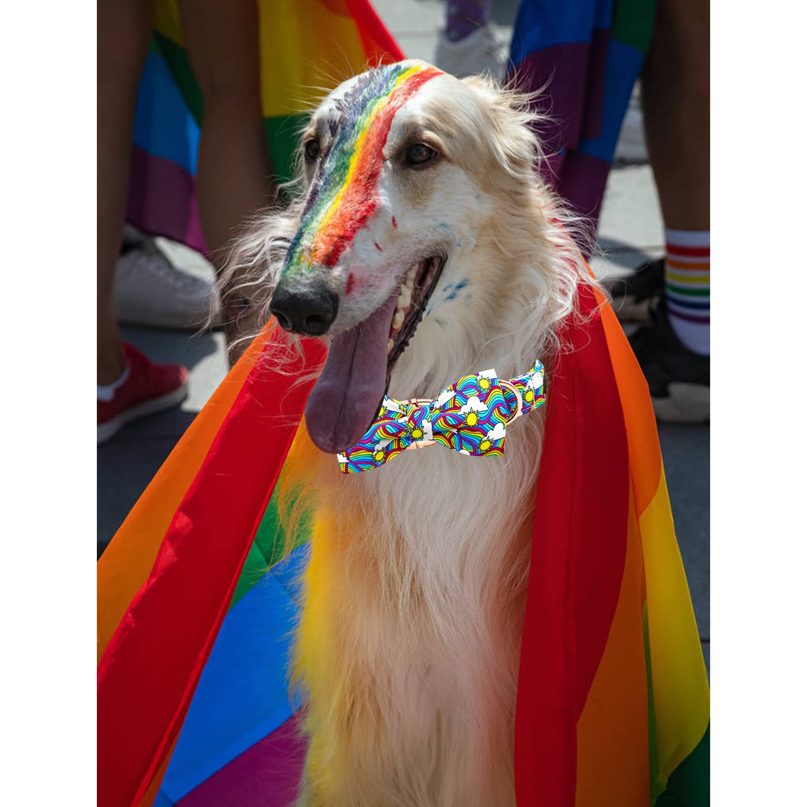 Lionheart Glory Rainbow Dog Collar Colorful Dog Bow Collar Heavy Duty Adjustable Pride Dog Collar With Bowtie For Medium Dogs Pe