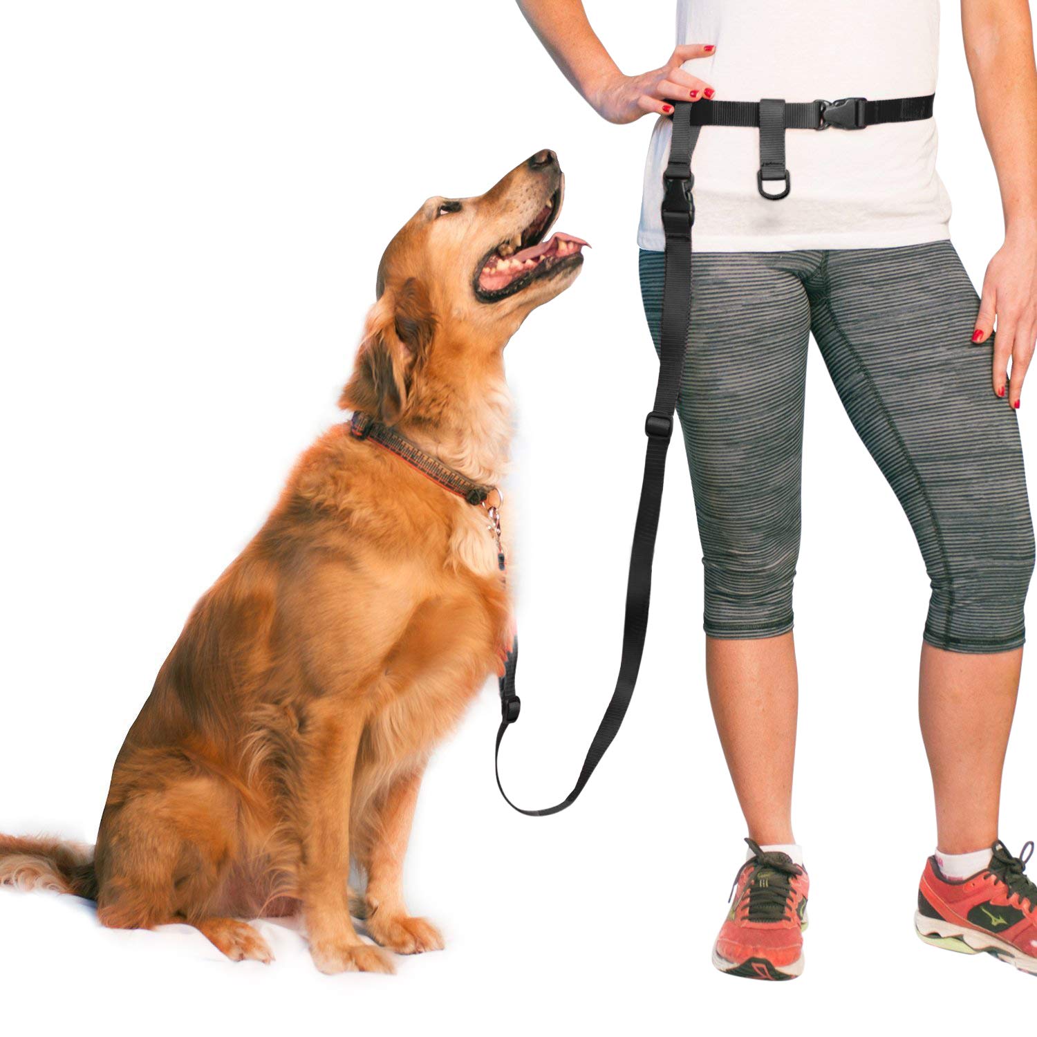 The Buddy System Adjustable Hands Free Dog Leash, Hand-Free Leash For Running, Jogging, Walking, Hiking And Training Service Dogs, Versatile All Dog Sizes - Made In Usa - Regular, Black