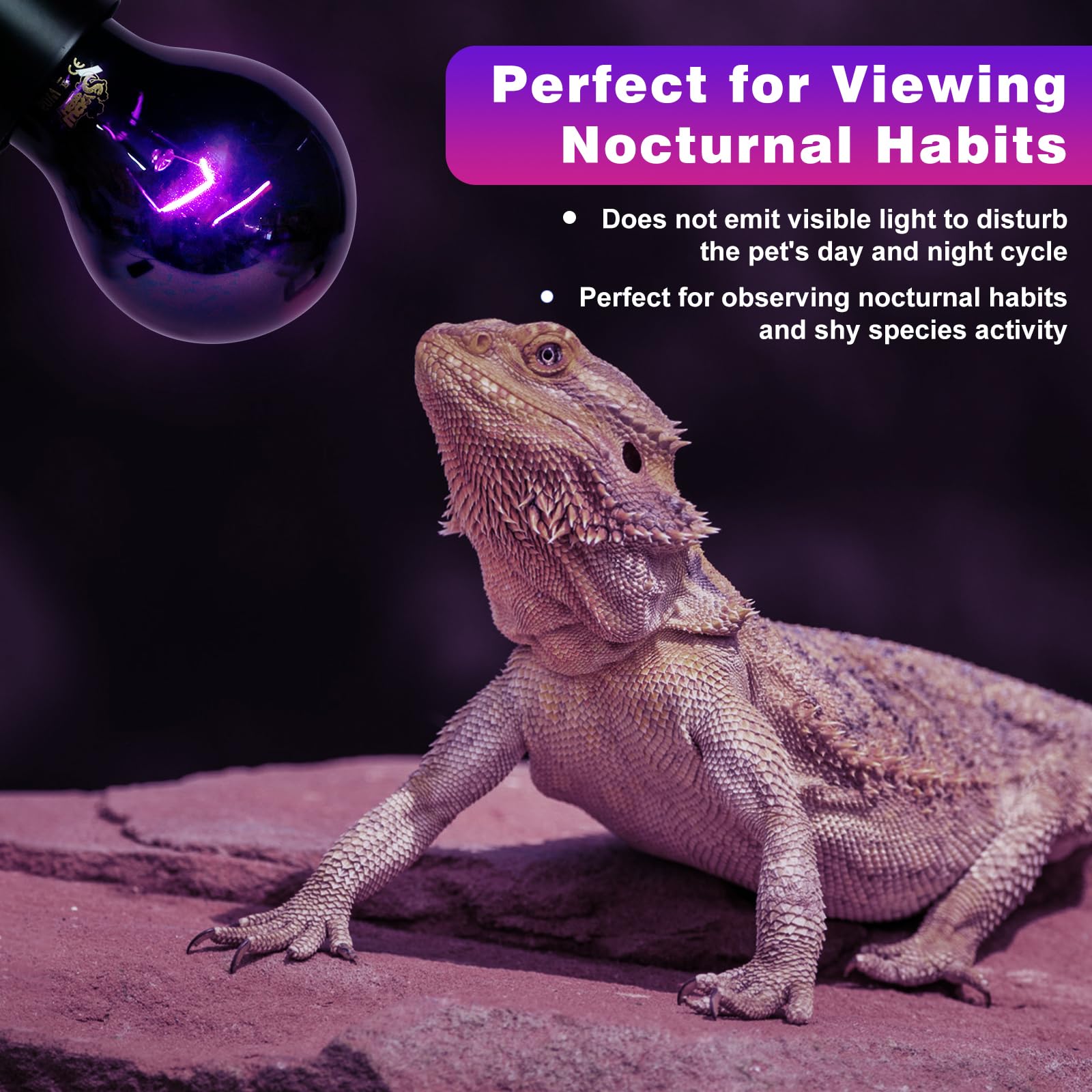 LUCKY HERP Reptile Heat Lamp 75W 2 Pack, Reptile Night Heat Bulb, Reptiles & Amphibians Basking Spot Light Bulb for Bearded Drag