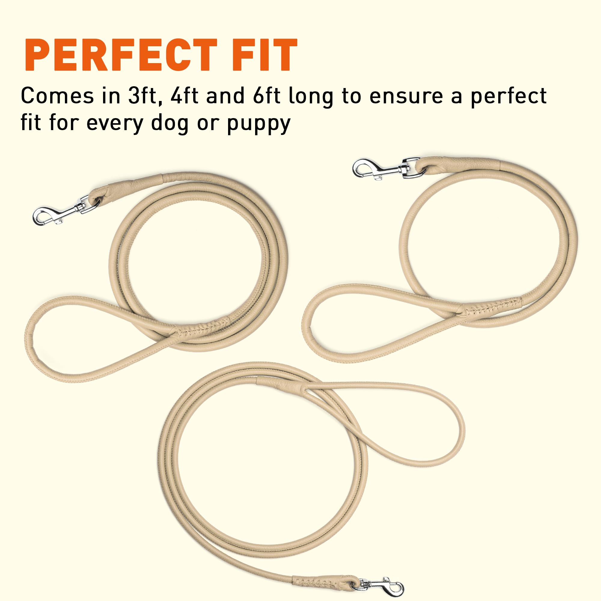 Dogline Rolled Leather Dog Leash - For Small, Medium And Large Breeds - Soft And Padded Lead Luxury Design - Beige - 3/8In W X 6Ft L