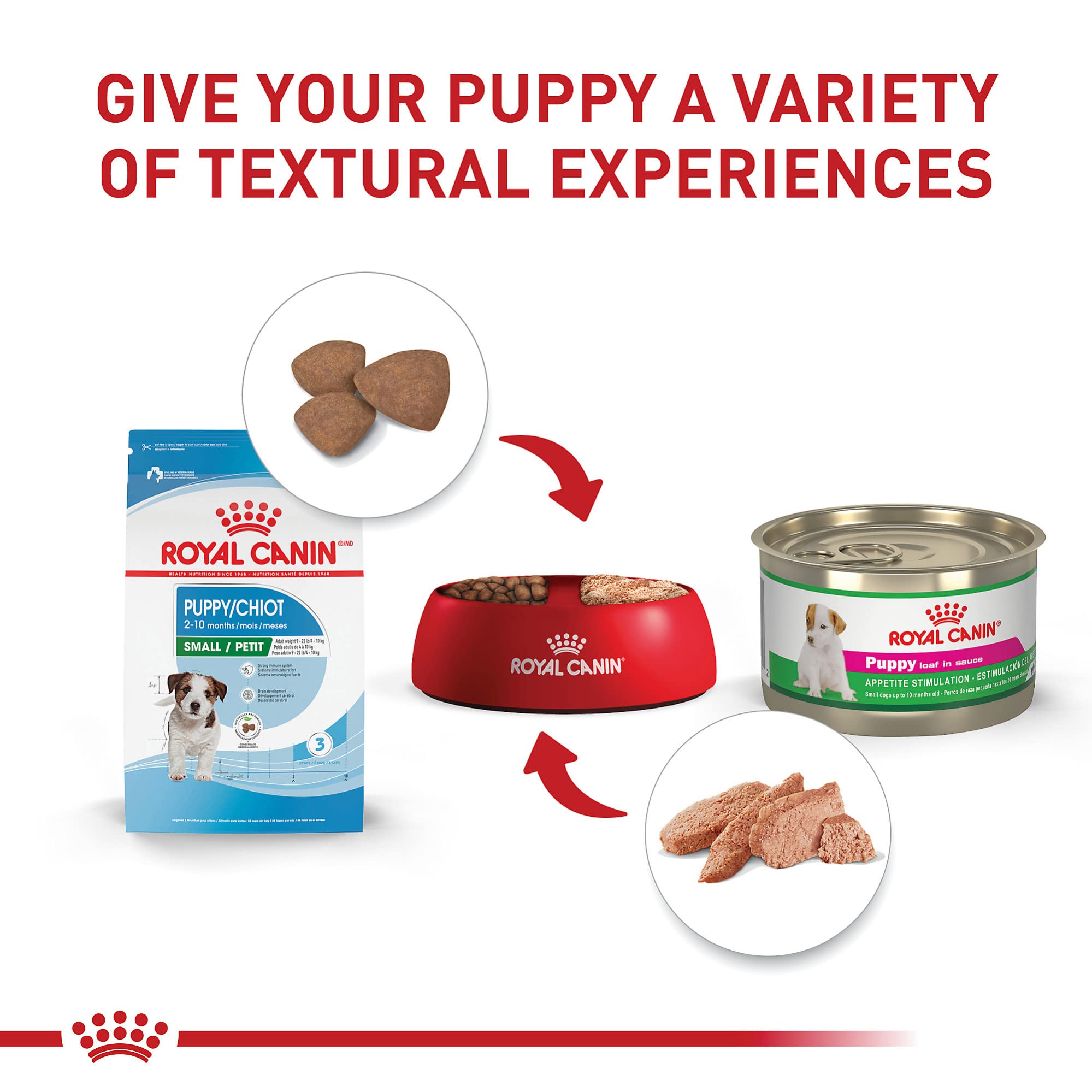 Royal Canin Size Health Nutrition Small Breed Dry Puppy Food, Supports Brain Development, Immune Support, and Digestive Health,