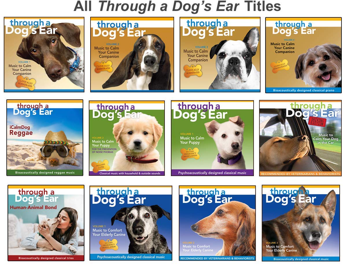 iCalmPet | Through a Dogs Ear: iCalmDog Reggae | CD | 60-min | Happy Jamaican Rhythm Solution for Canine Anxiety