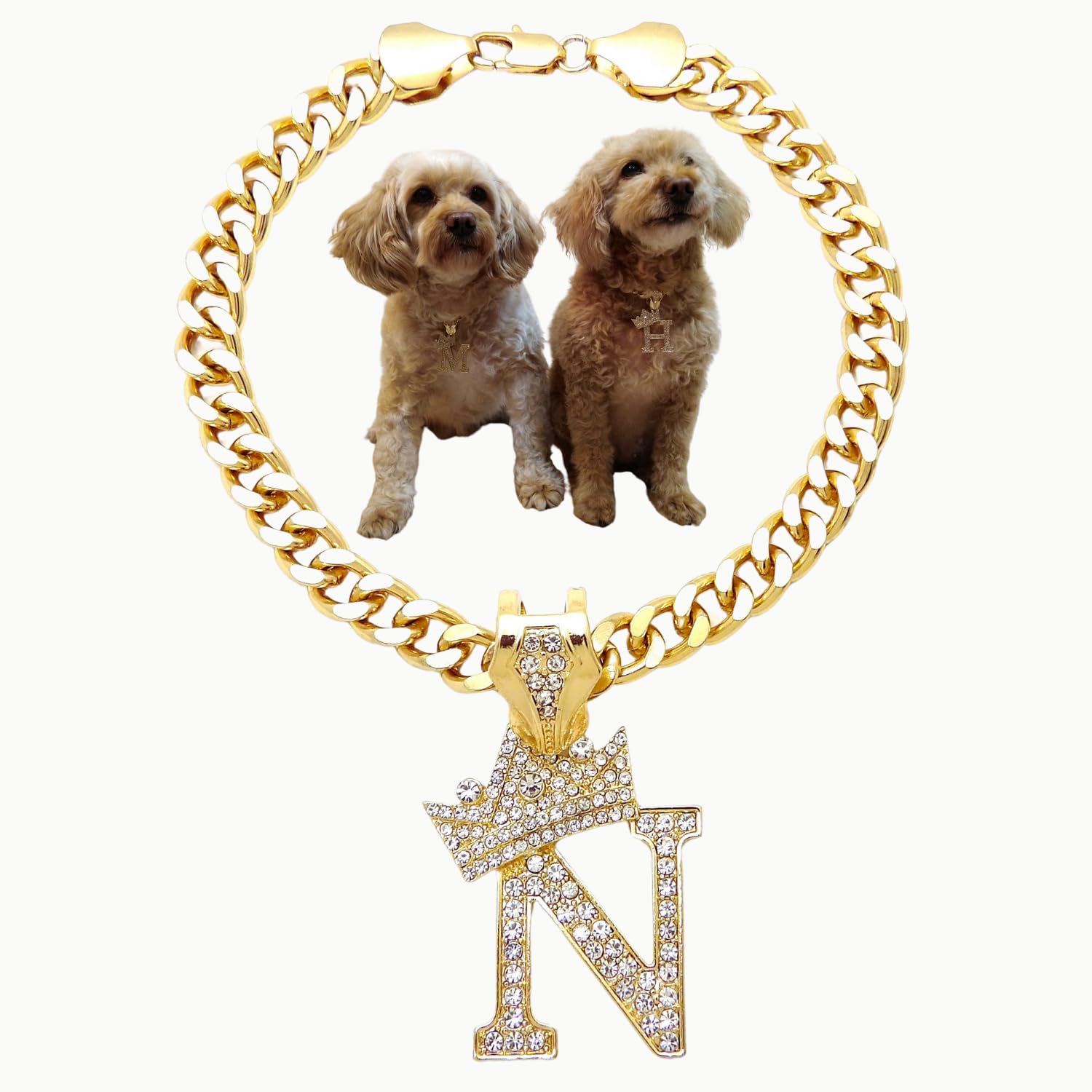 Initial Letter Cuban Chain Dog Chain Pet Chain Pet, Cat, Puppy Necklace (N, 16'')