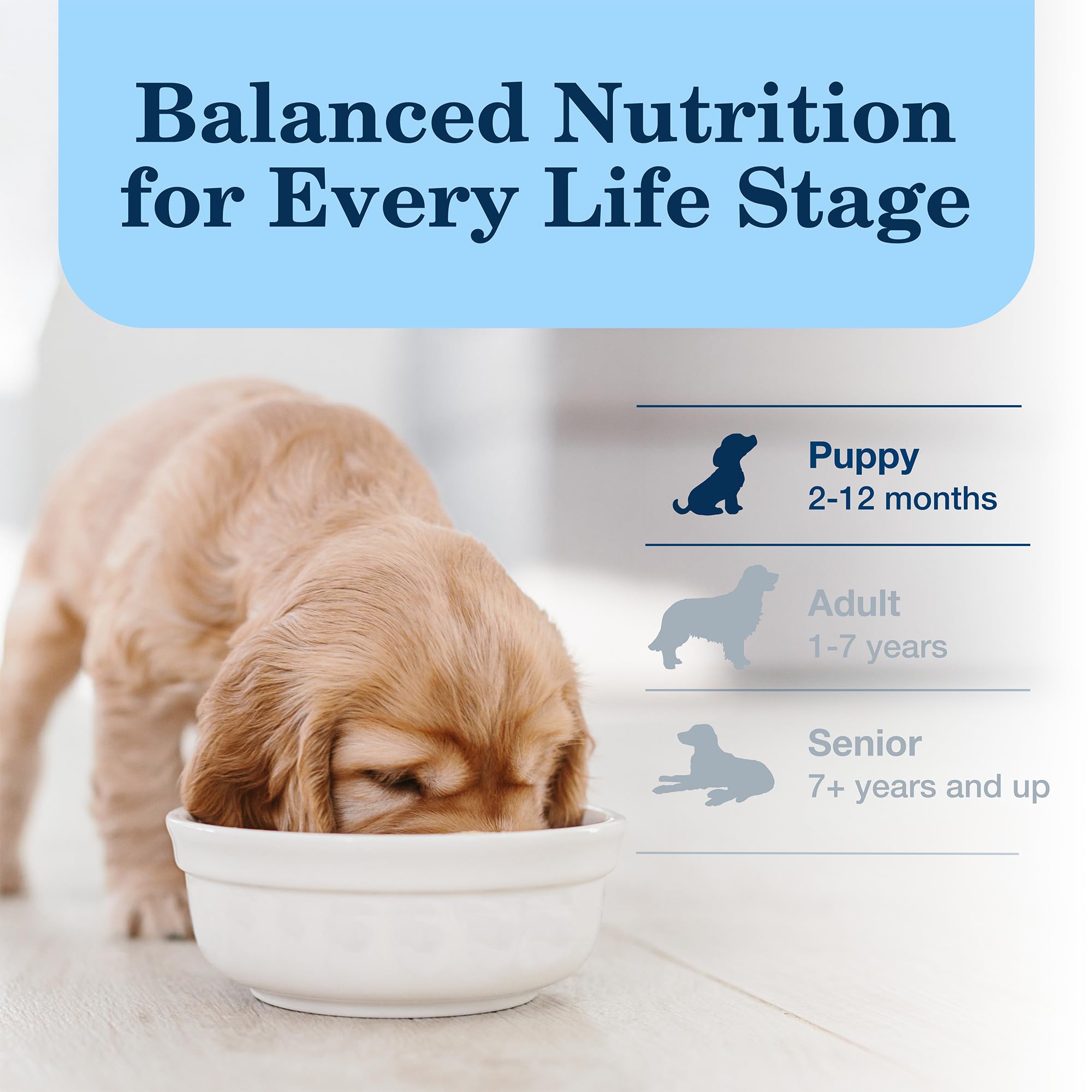 Blue Buffalo Homestyle Recipe Puppy Wet Dog Food, Made with Natural Ingredients, Chicken Dinner with Garden Vegetables & Brown R