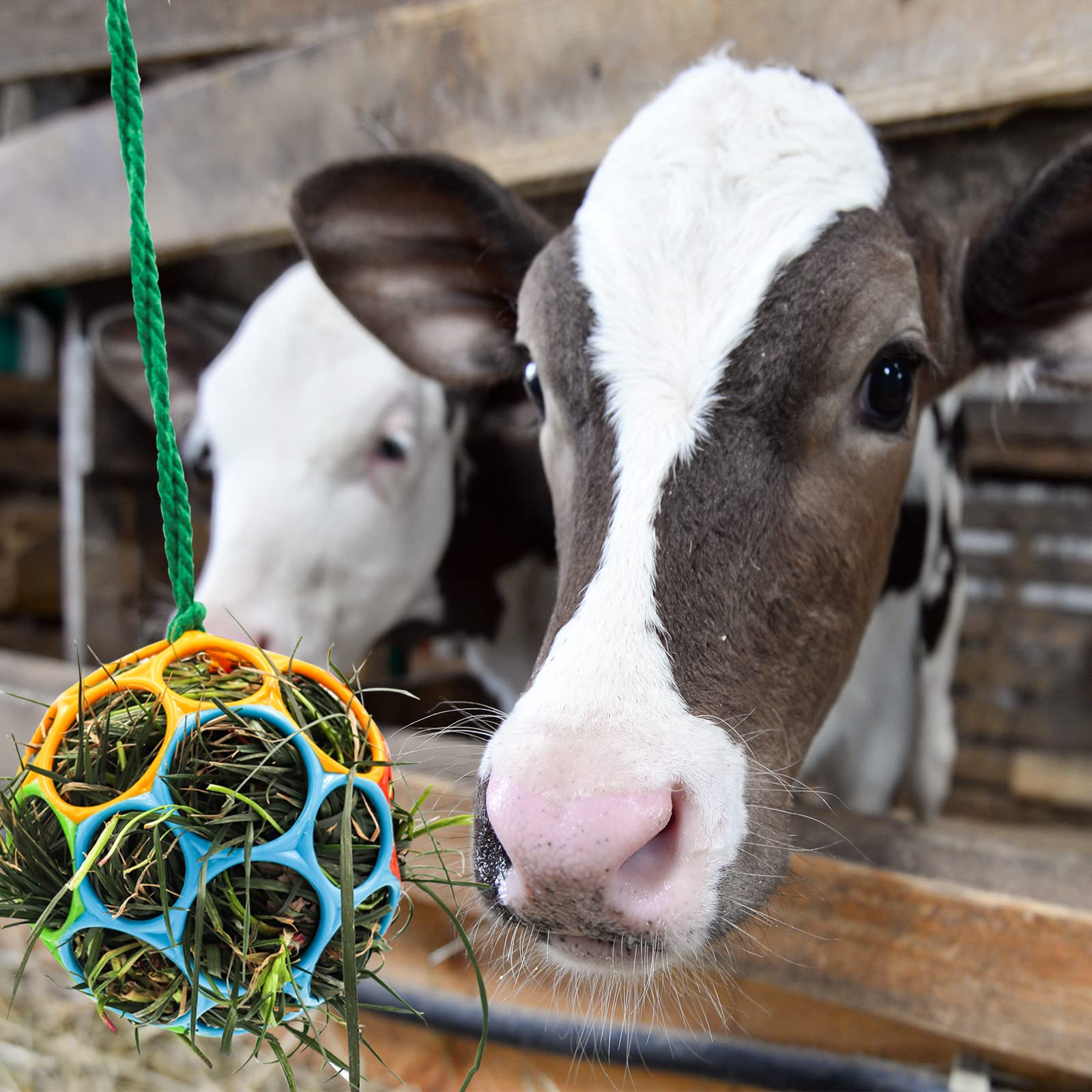 Besimple 2 Pack Horse Treat Ball Hay Feeder Toy, Goat Feeder Ball Hanging Feeding Toy For Horse Goat Sheep Relieve Stress (Color