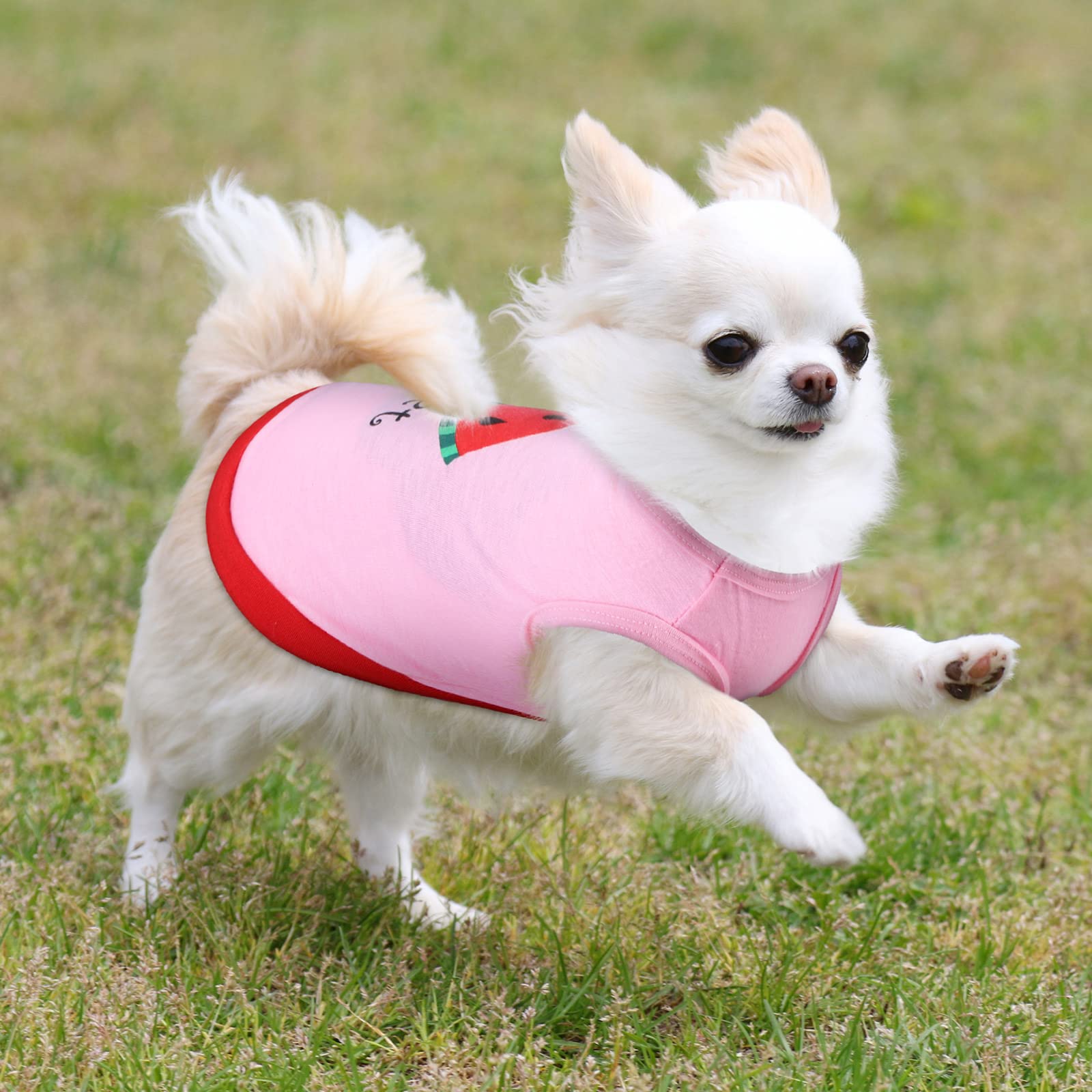 8 Pieces Pet Shirts Printed Puppy Soft Pullover Dog T Shirts Cute Sweatshirts Valentine'S Day Puppy Girl Clothes Dog Outfits Small Dog For Pet Cats (Cute Pattern,Size S)