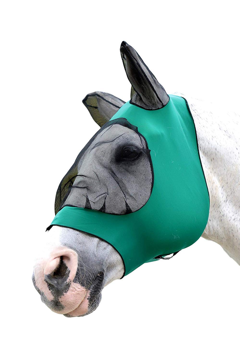 WeatherBeeta Stretch Eye Saver with Ears, Hunter/Black, Pony