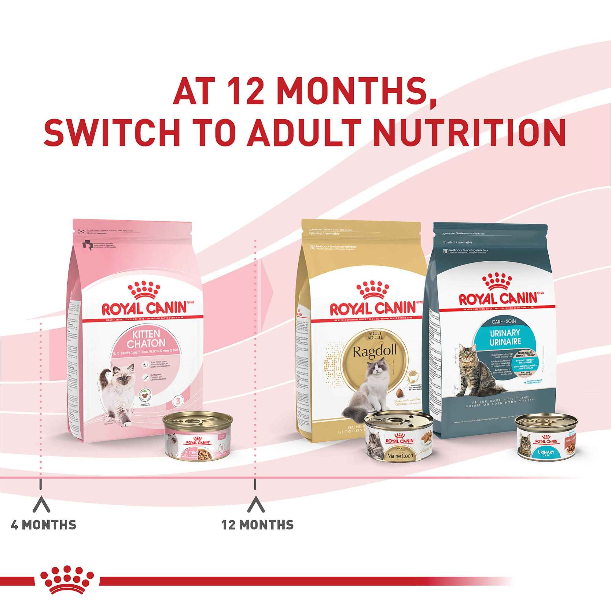 Royal Canin Feline Health Nutrition Kitten Thin Slices in Gravy Canned Cat Food, 3 oz., Count of 24